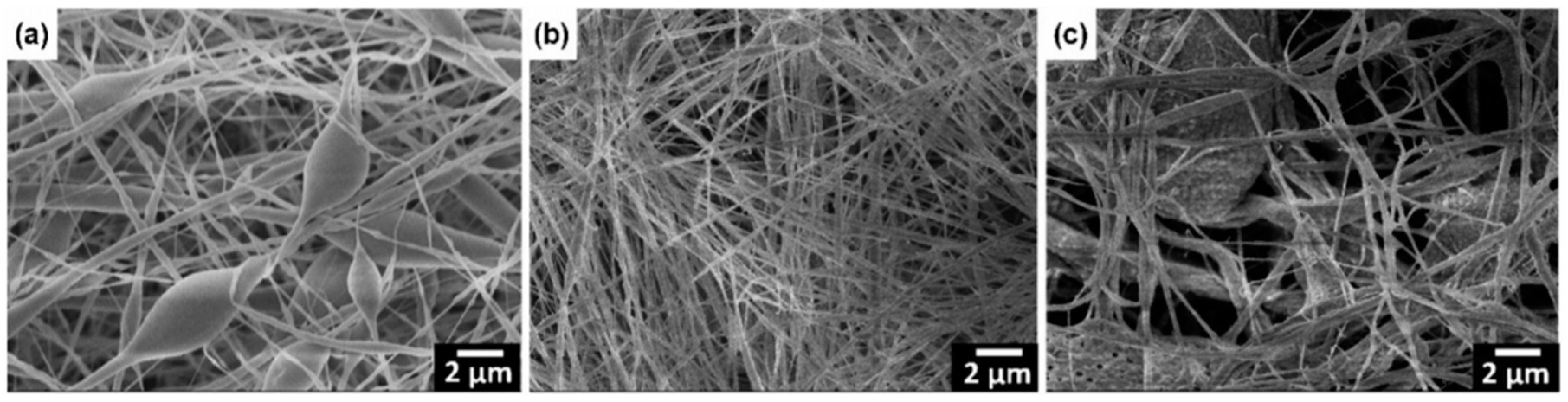 Sensors 20 05214 g015