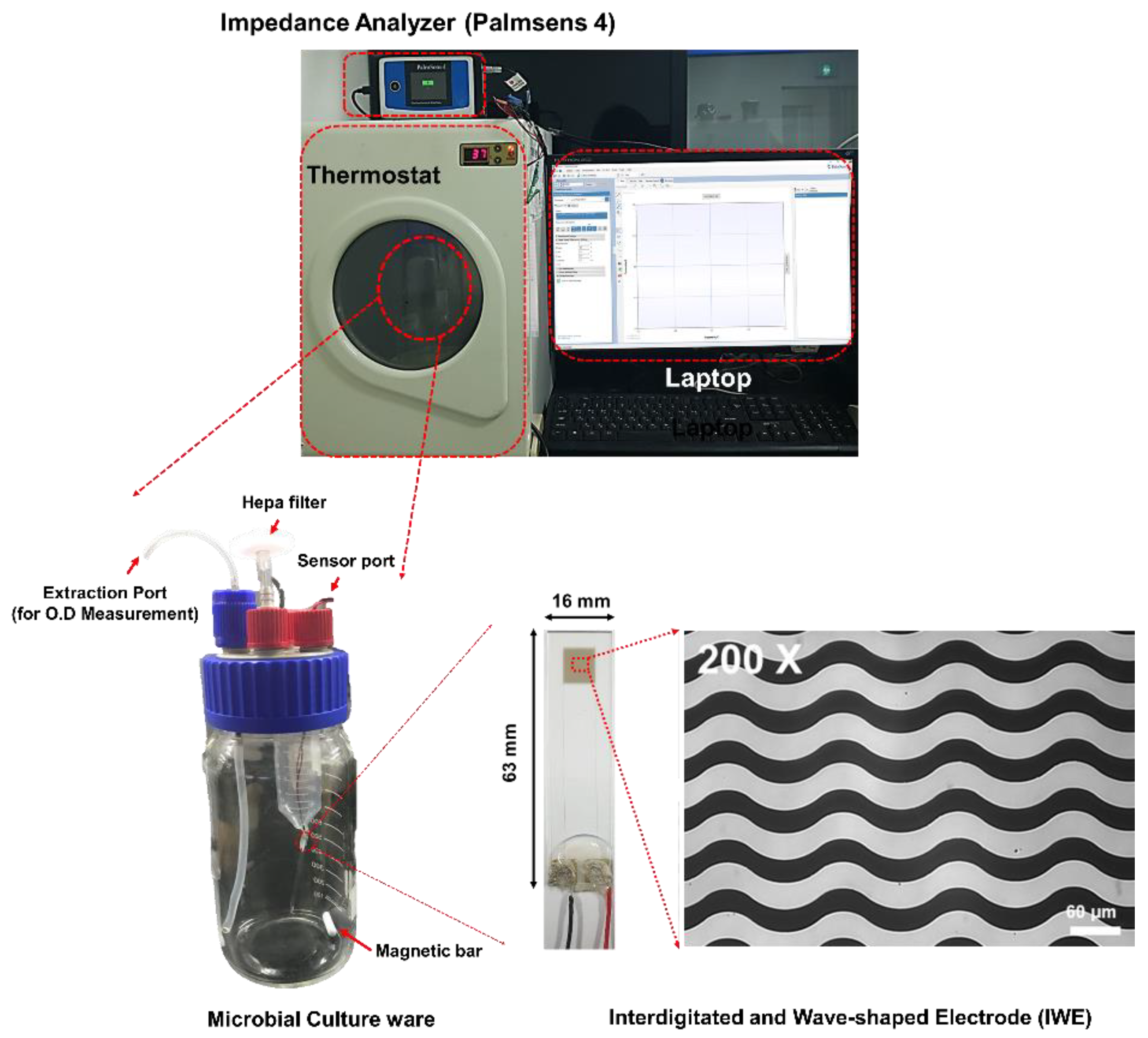 Sensors 20 05237 g001