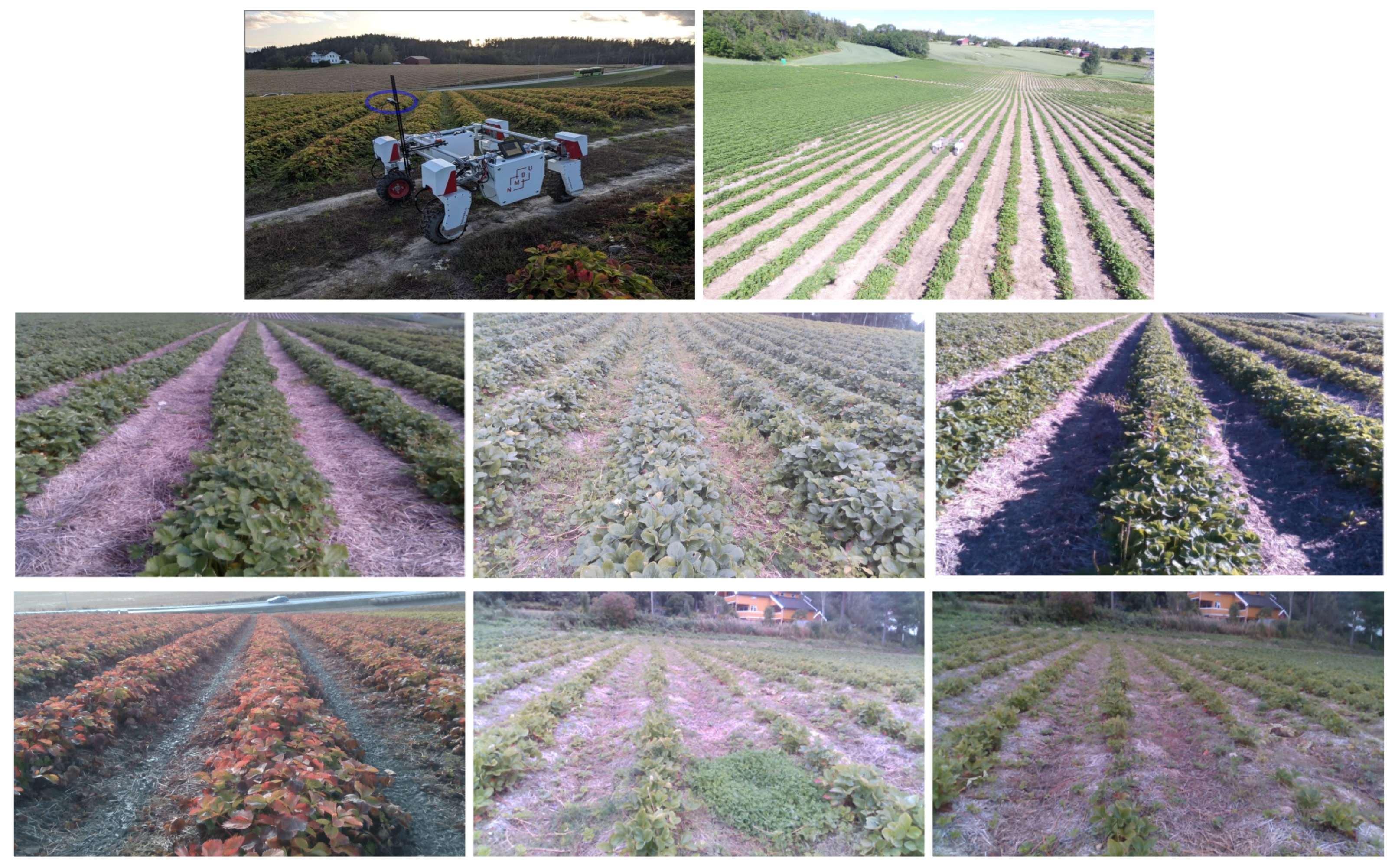 Sensors 20 05249 g001