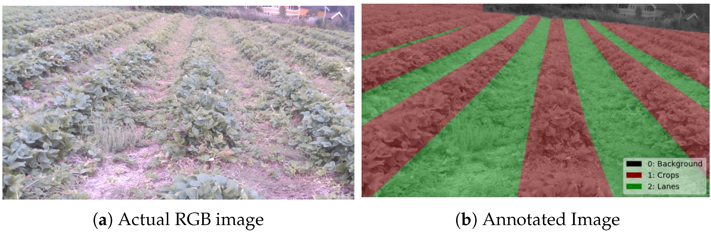 Sensors 20 05249 g003