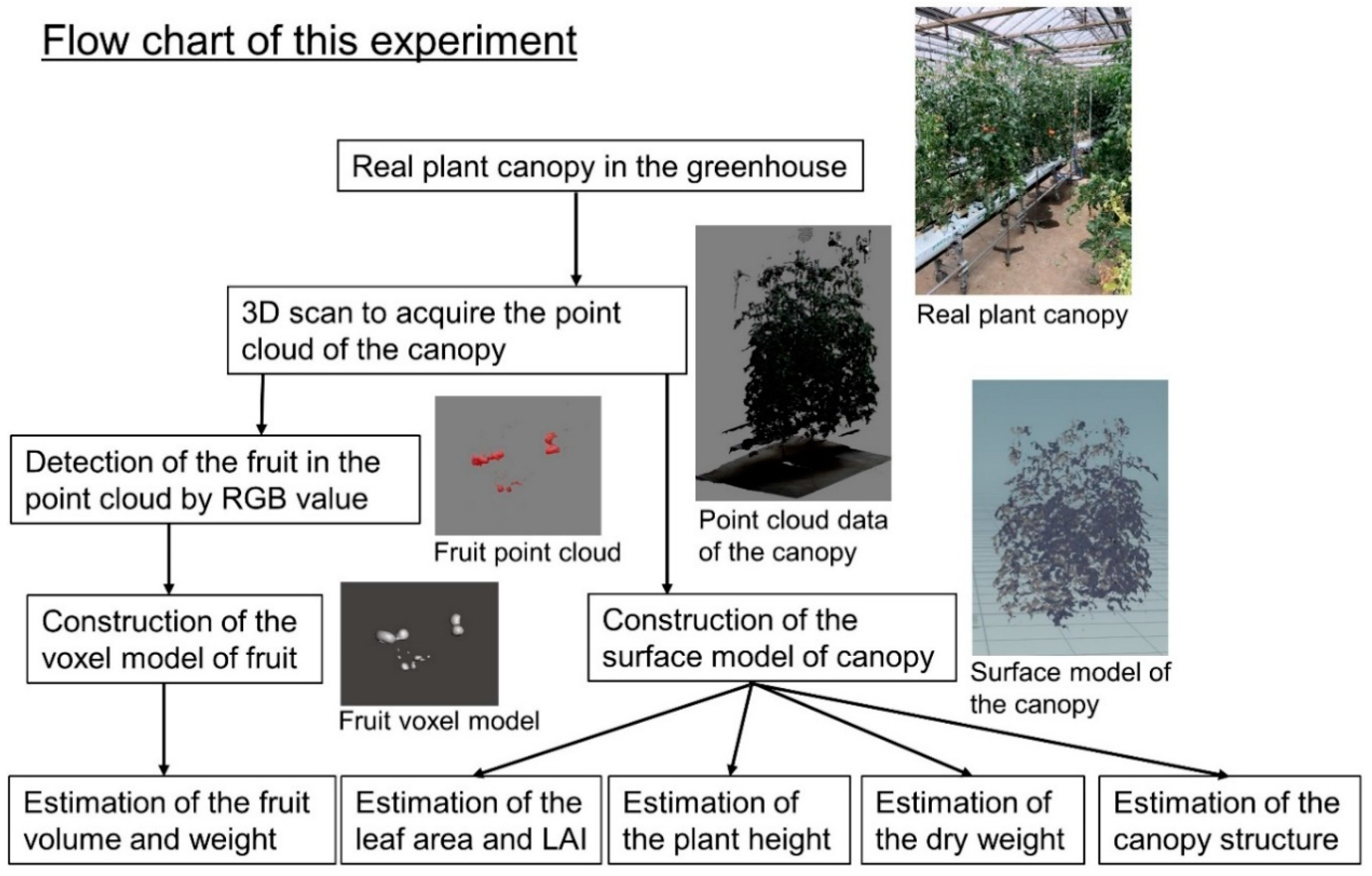 Sensors 20 05270 g002
