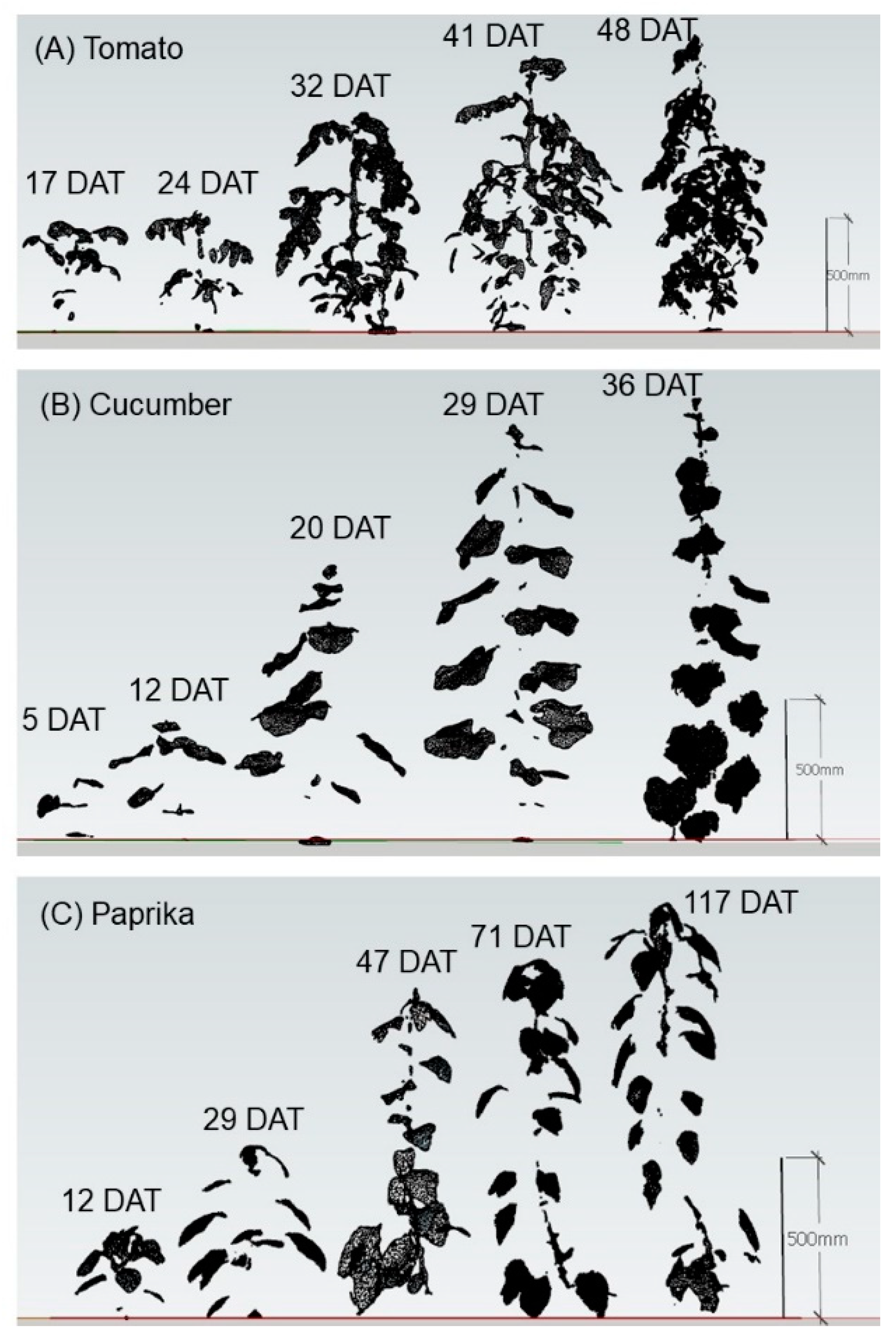 Sensors 20 05270 g003
