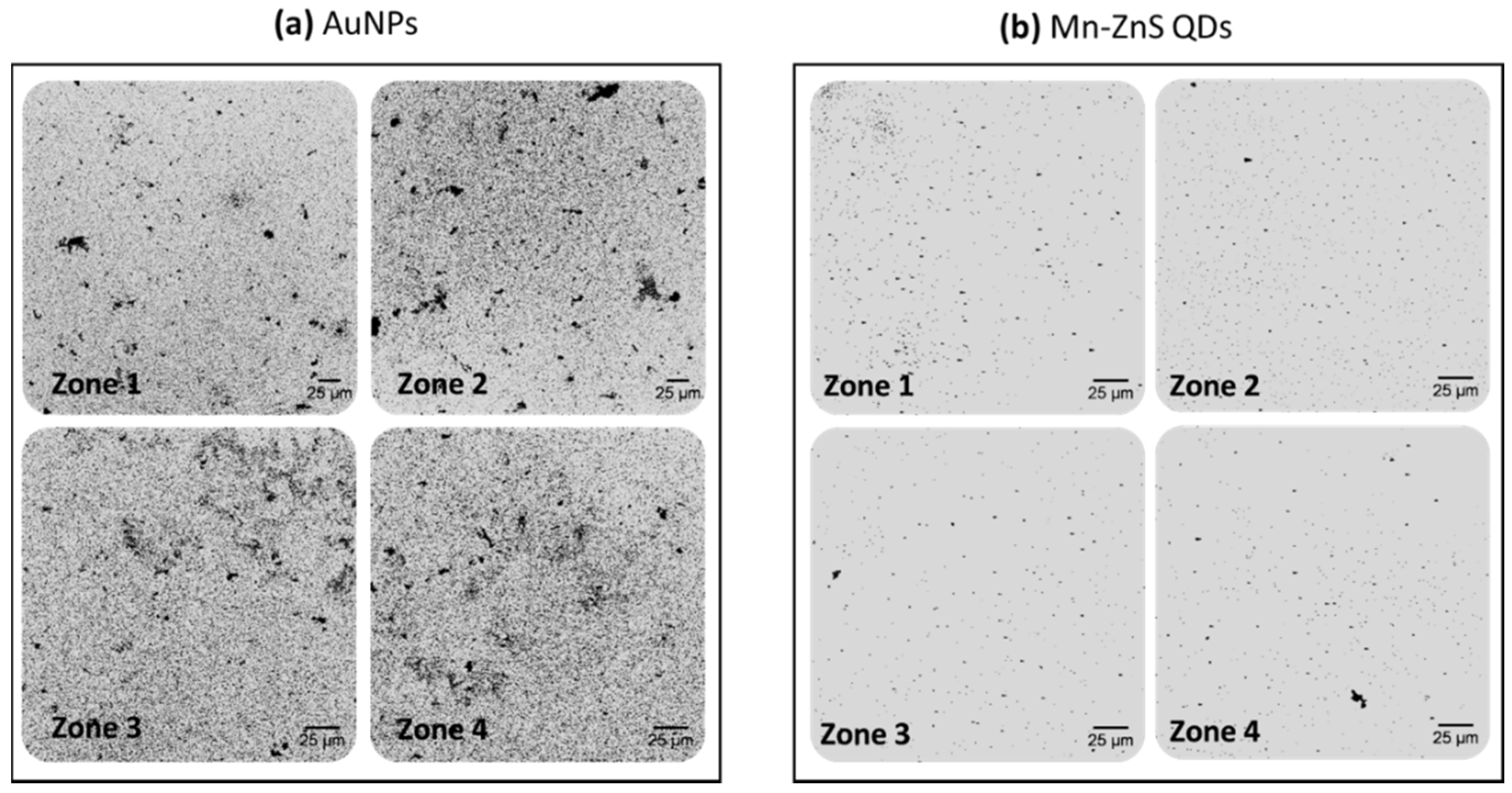 Sensors 20 05287 g003