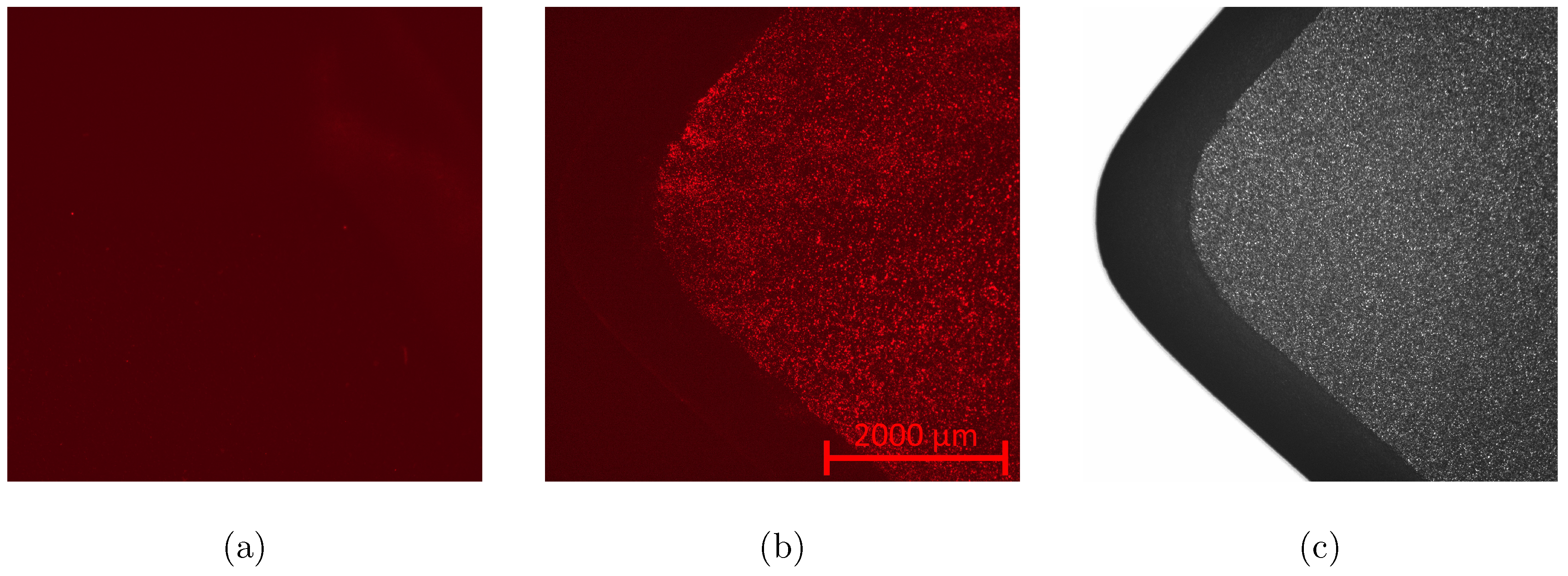 Sensors 20 05295 g011