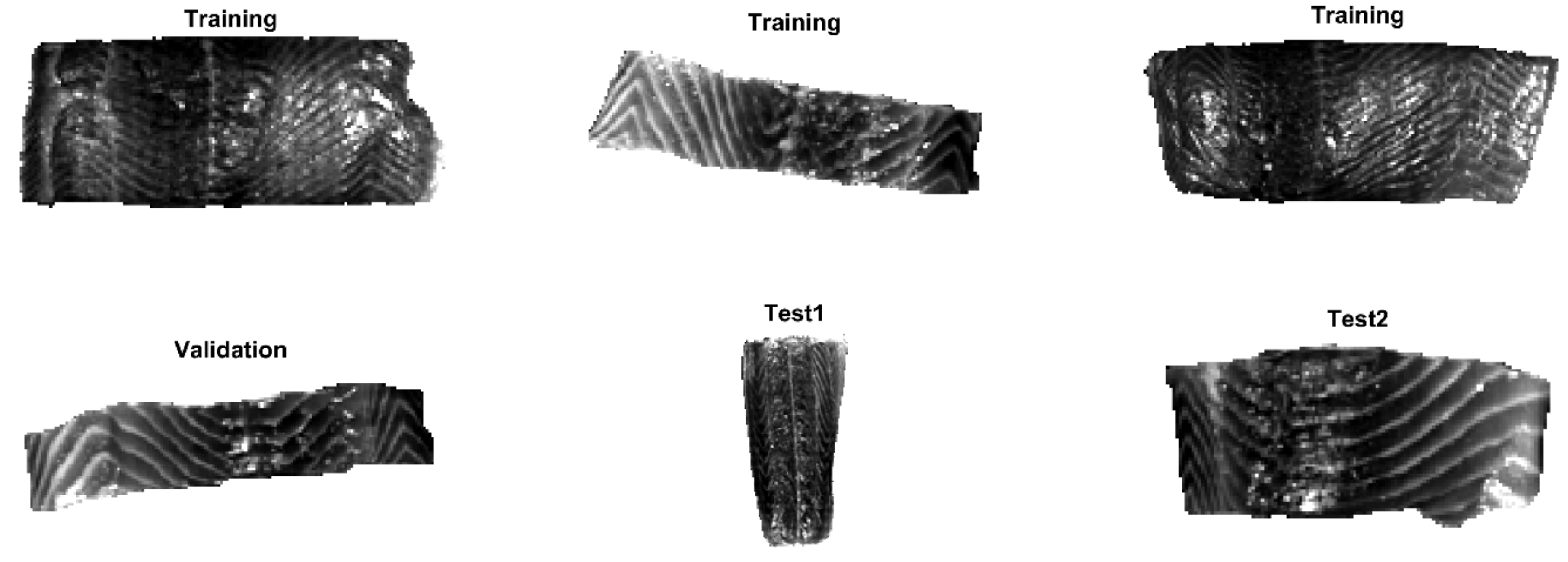 Sensors 20 05322 g002