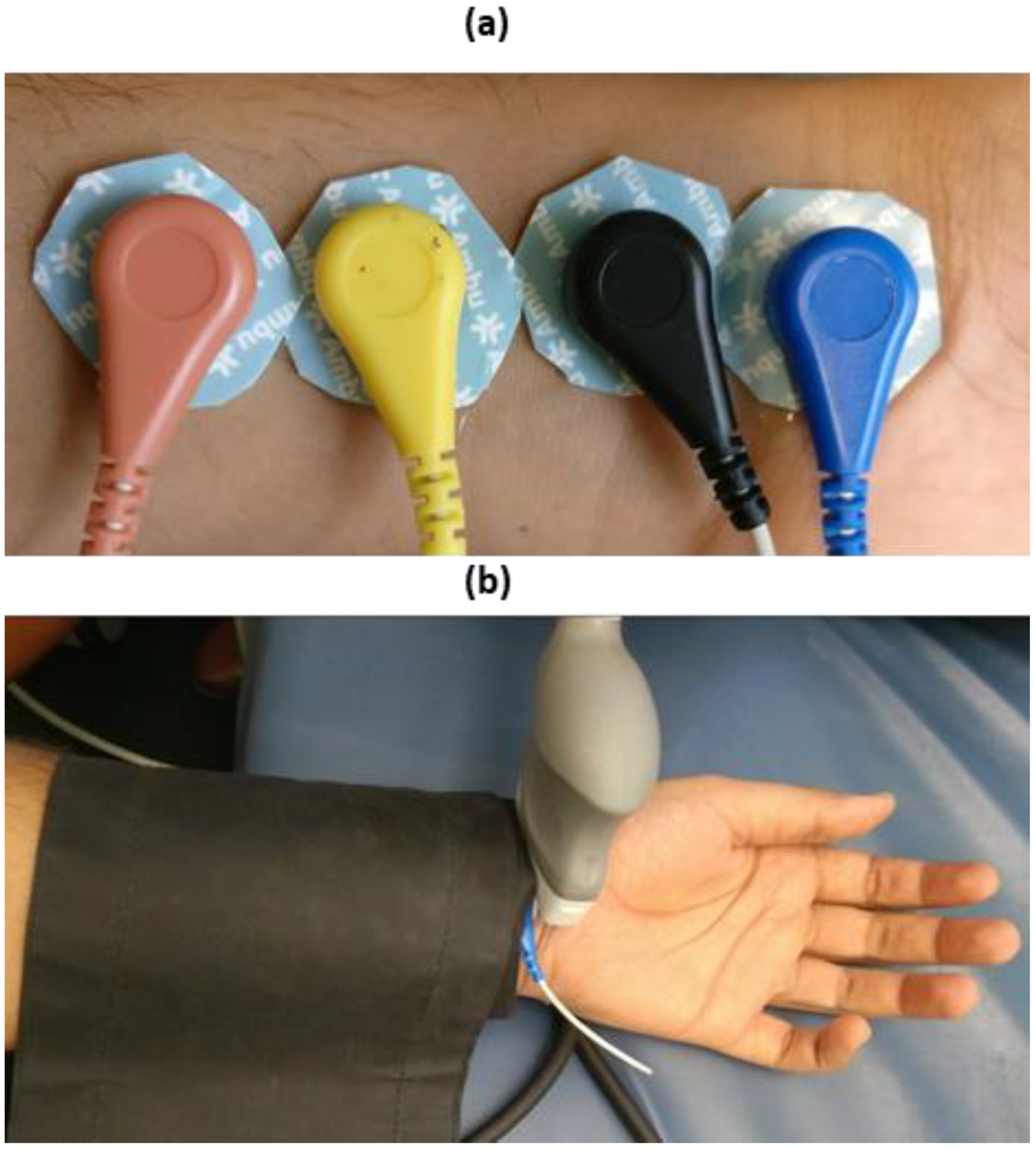 Sensors 20 05333 g002