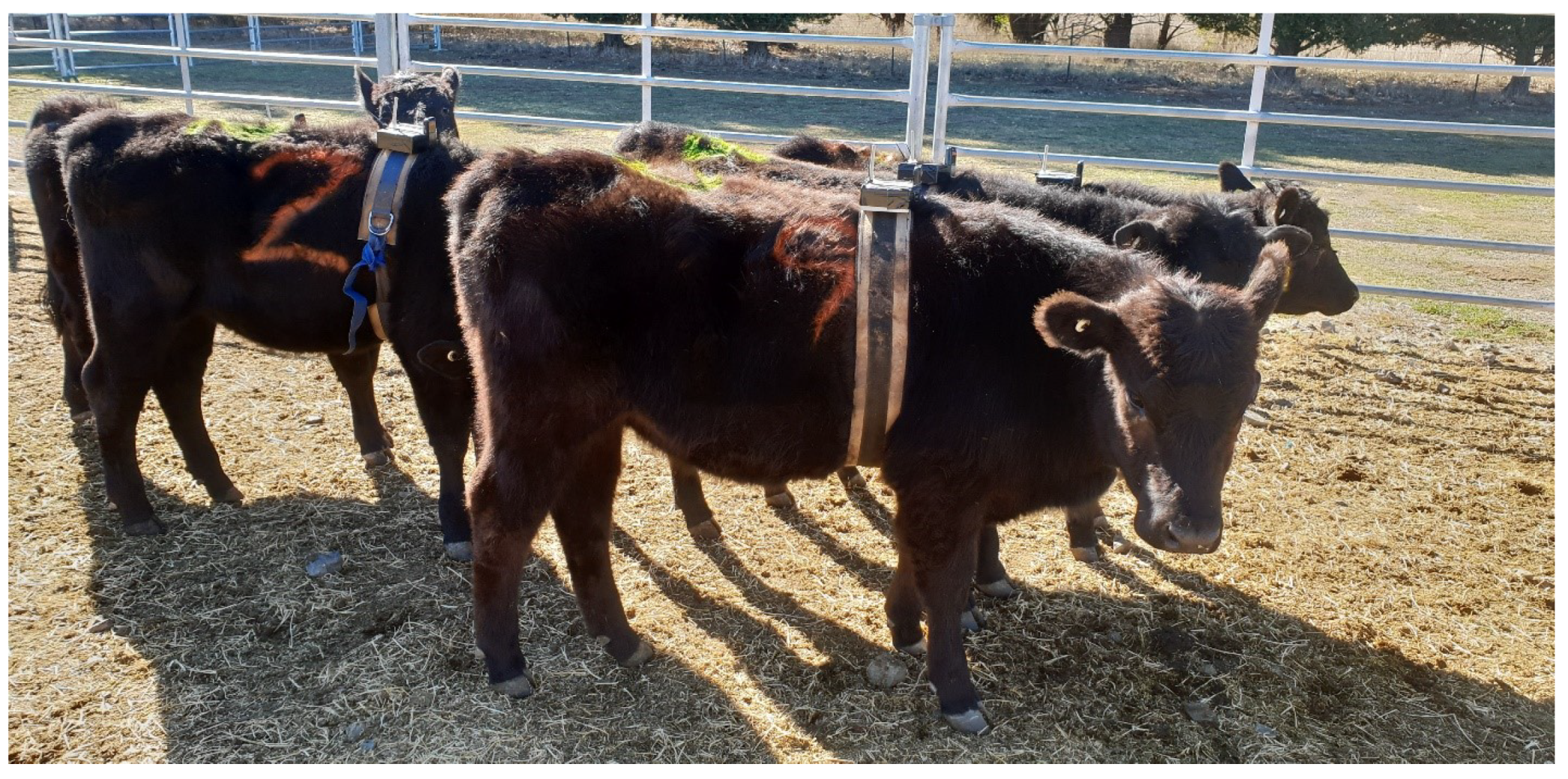 Sensors 20 05340 g001