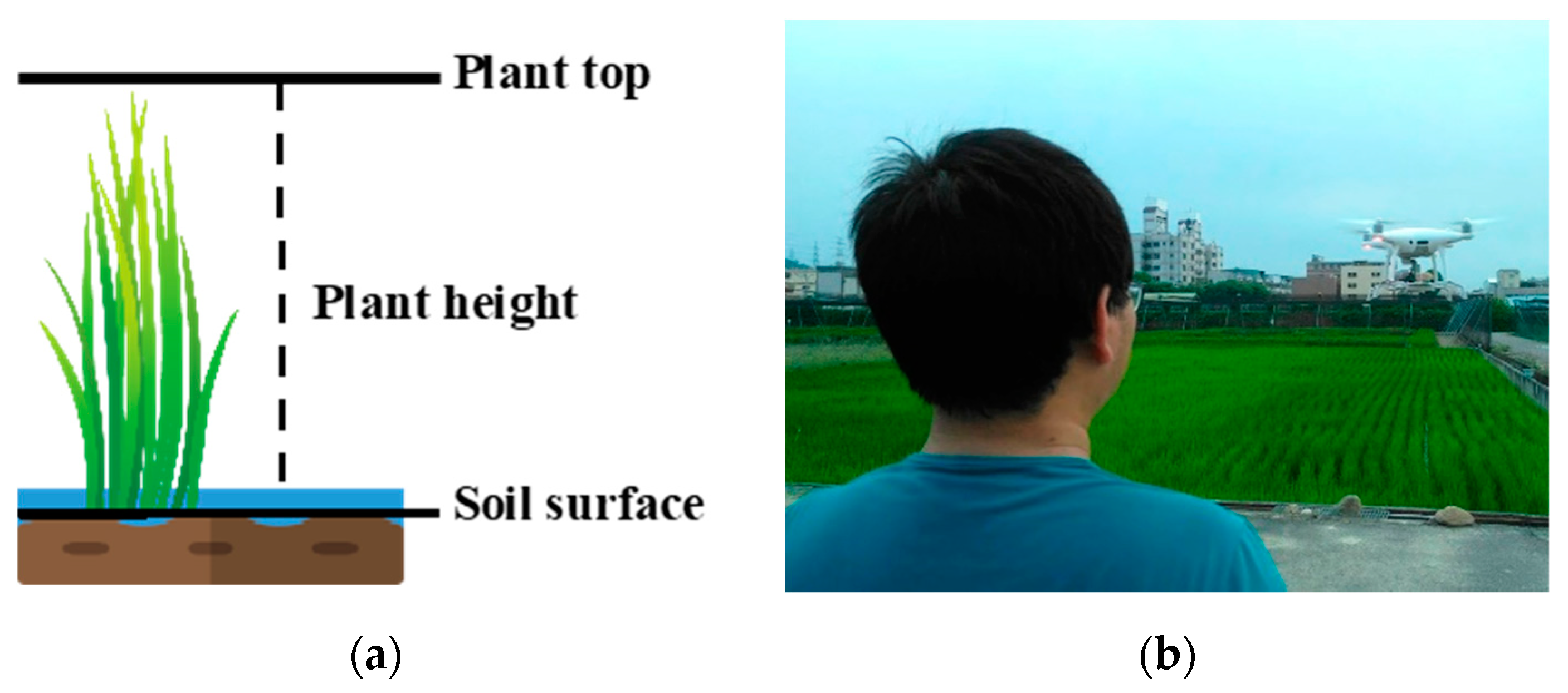 Sensors 20 05354 g003