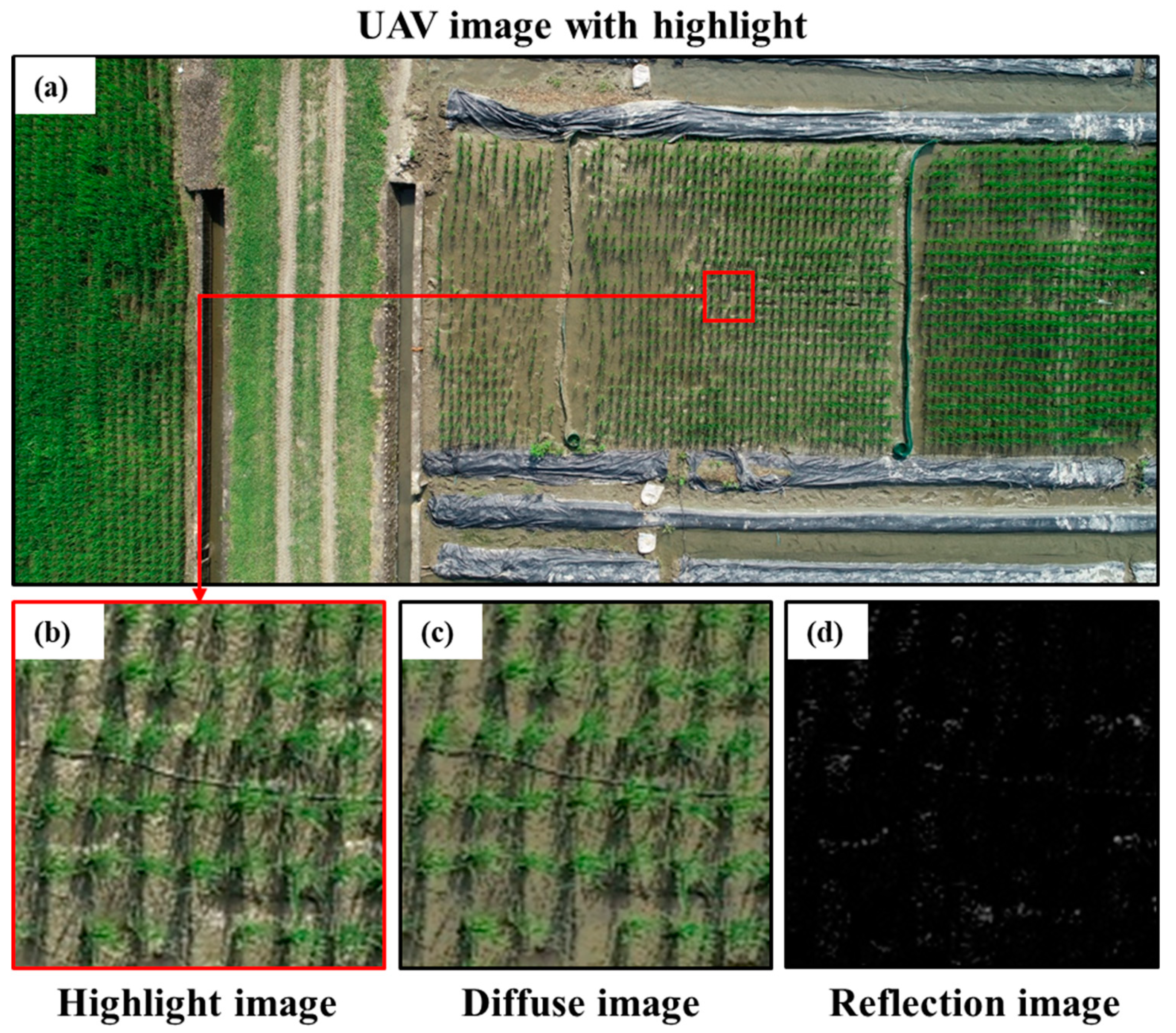 Sensors 20 05354 g005