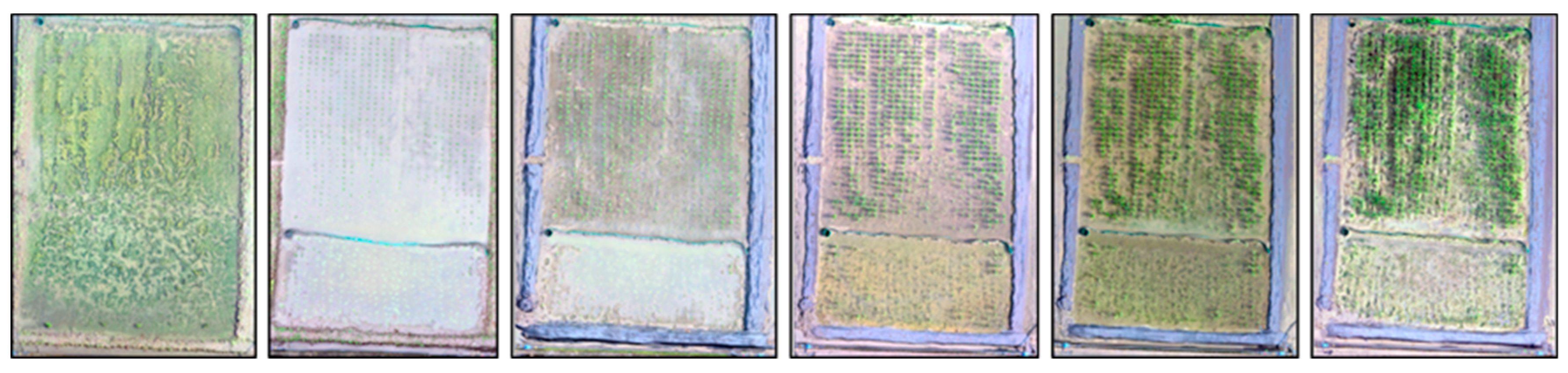 Sensors 20 05354 g016