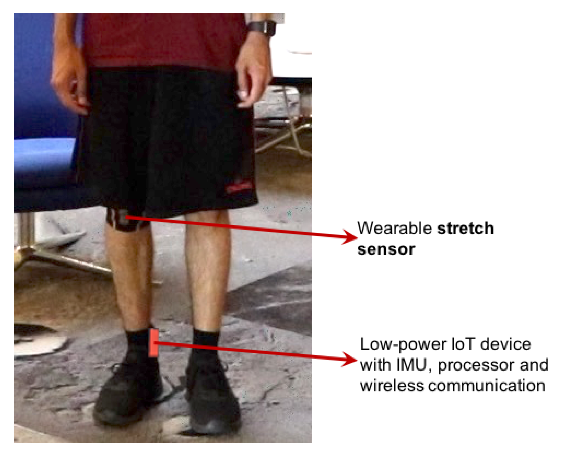 Sensors 20 05356 g001
