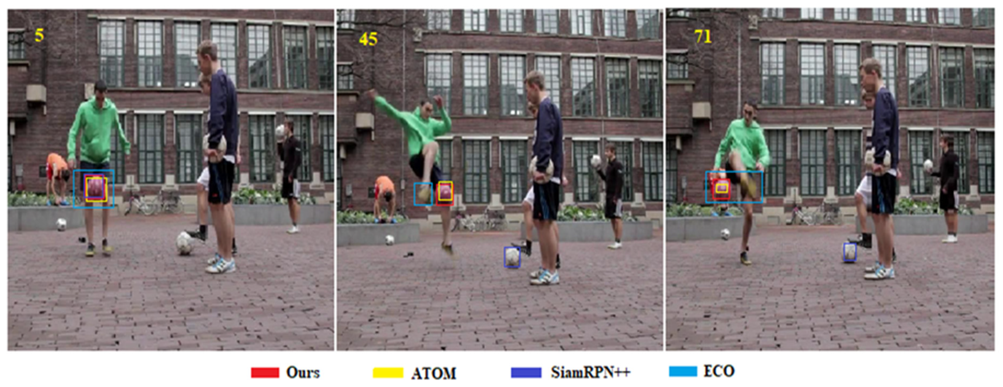 Sensors 20 05374 g007