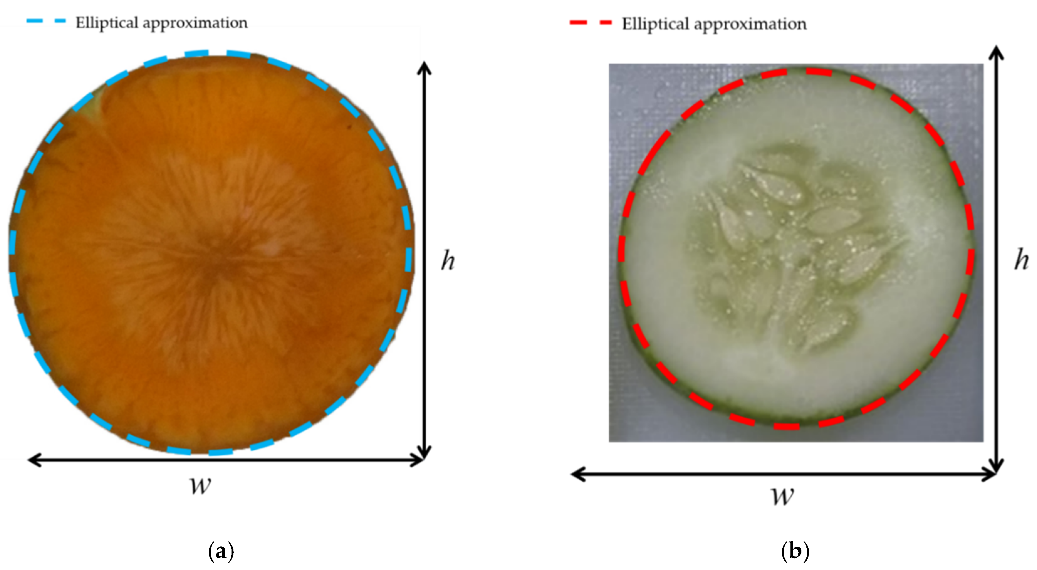 Sensors 20 05406 g012