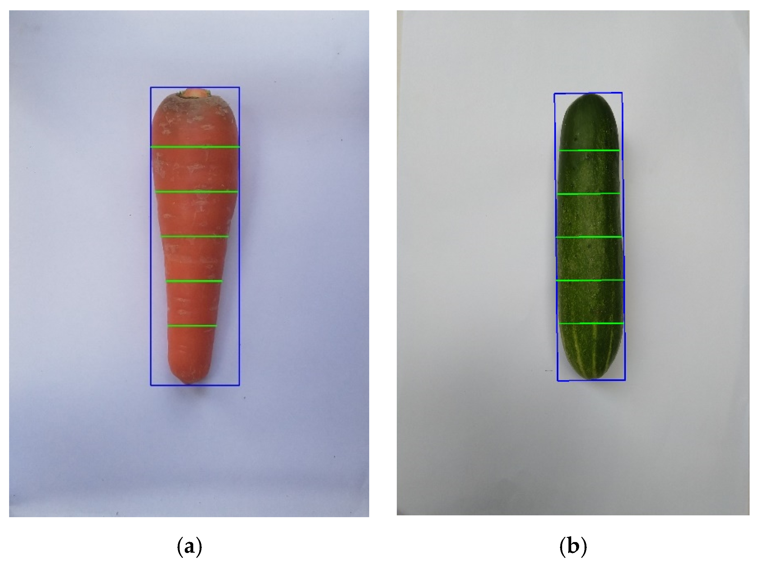Sensors 20 05406 g013