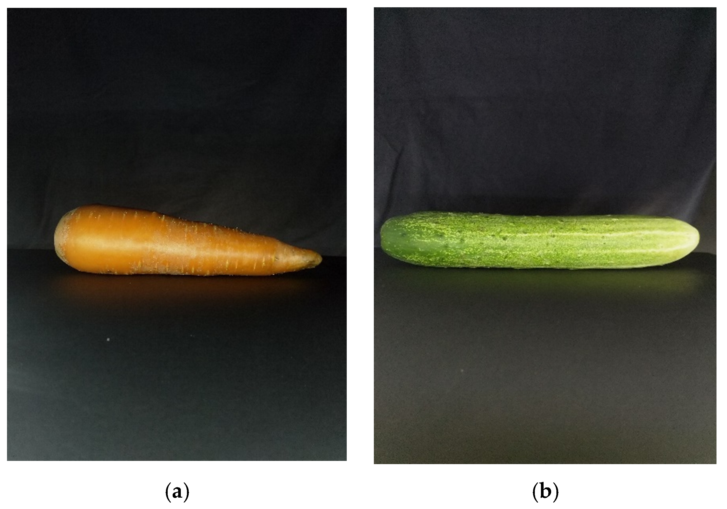 Sensors 20 05406 g020