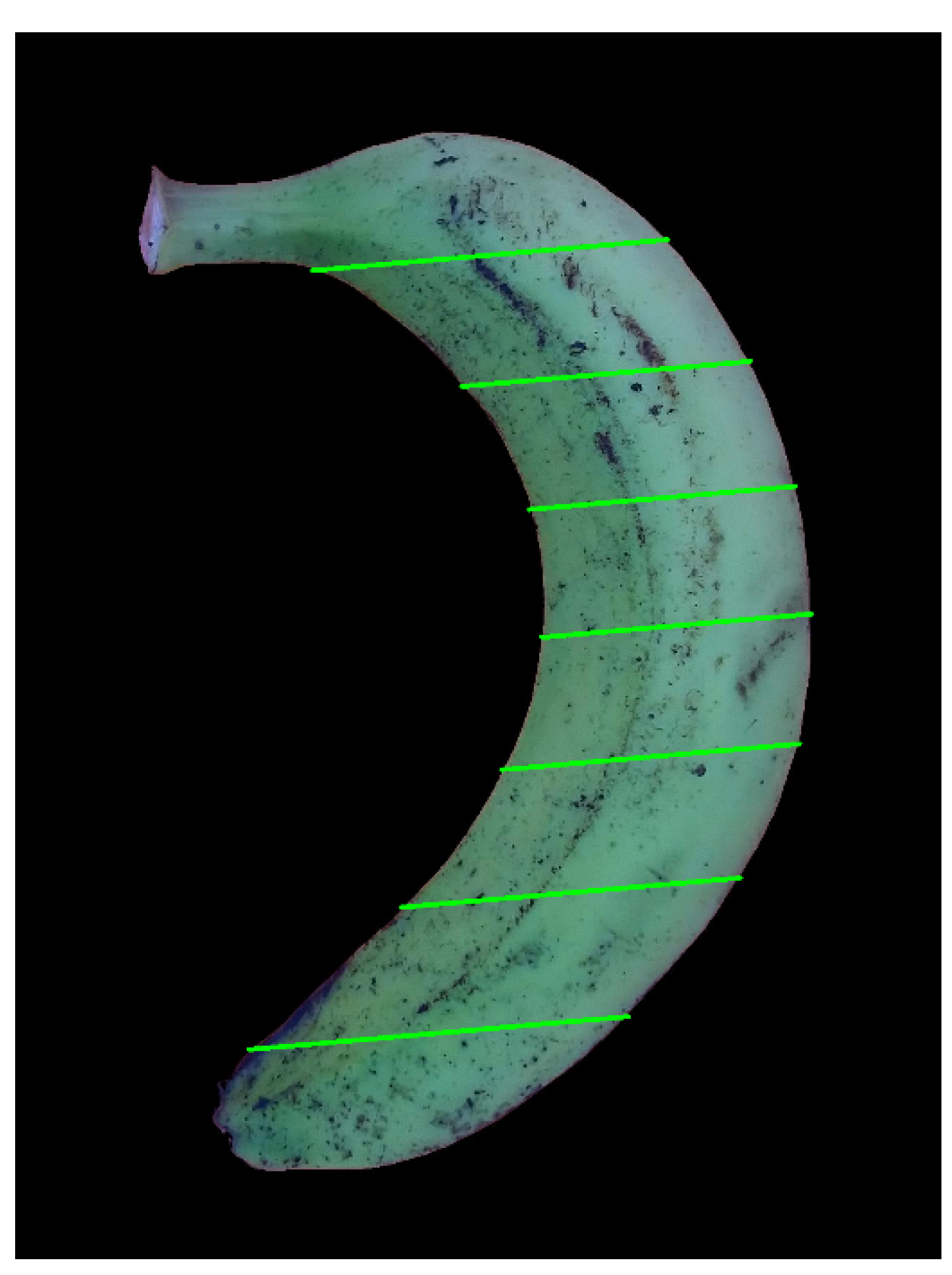 Sensors 20 05406 g027