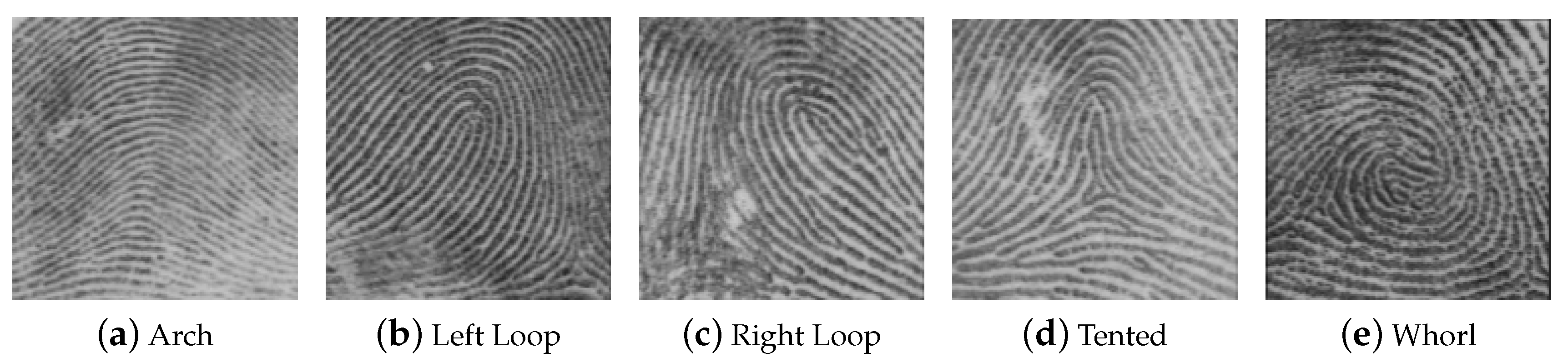 Sensors 20 05410 g002