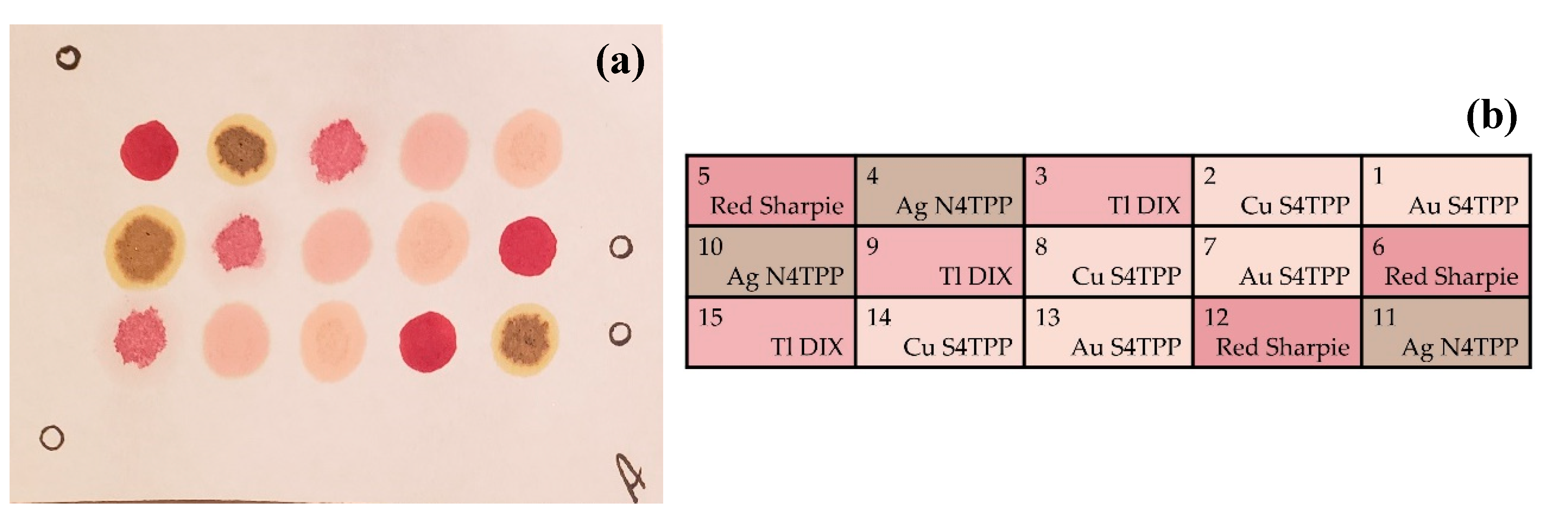 Sensors 20 05424 g005