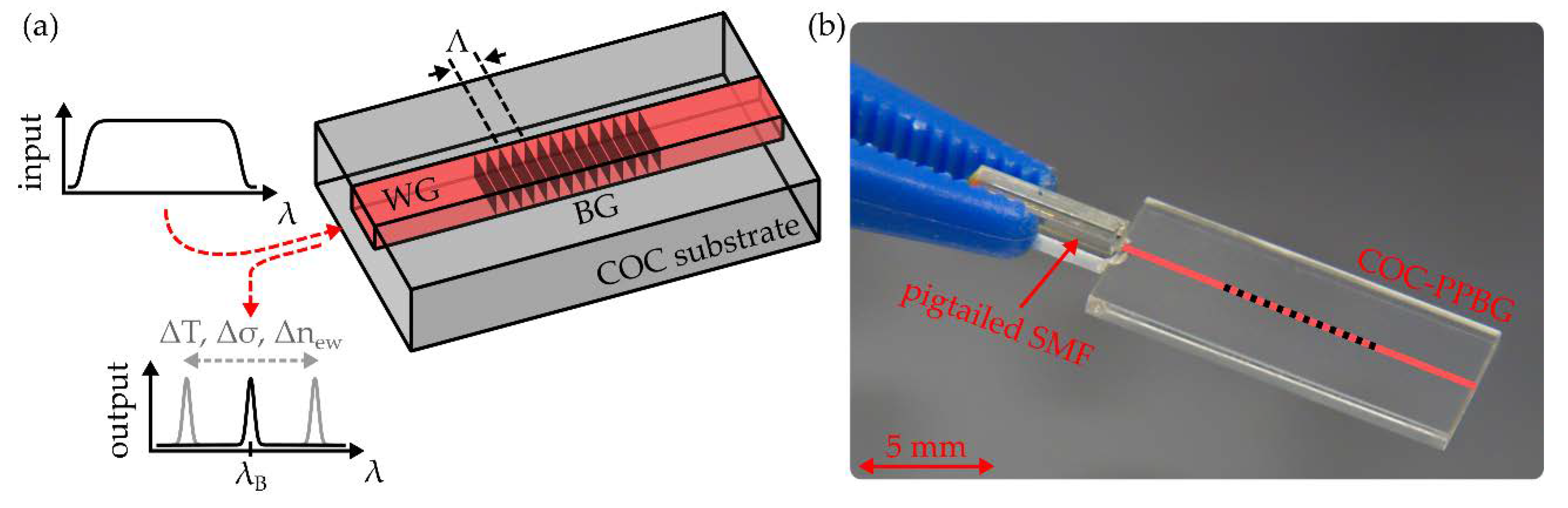 Sensors 20 05452 g001