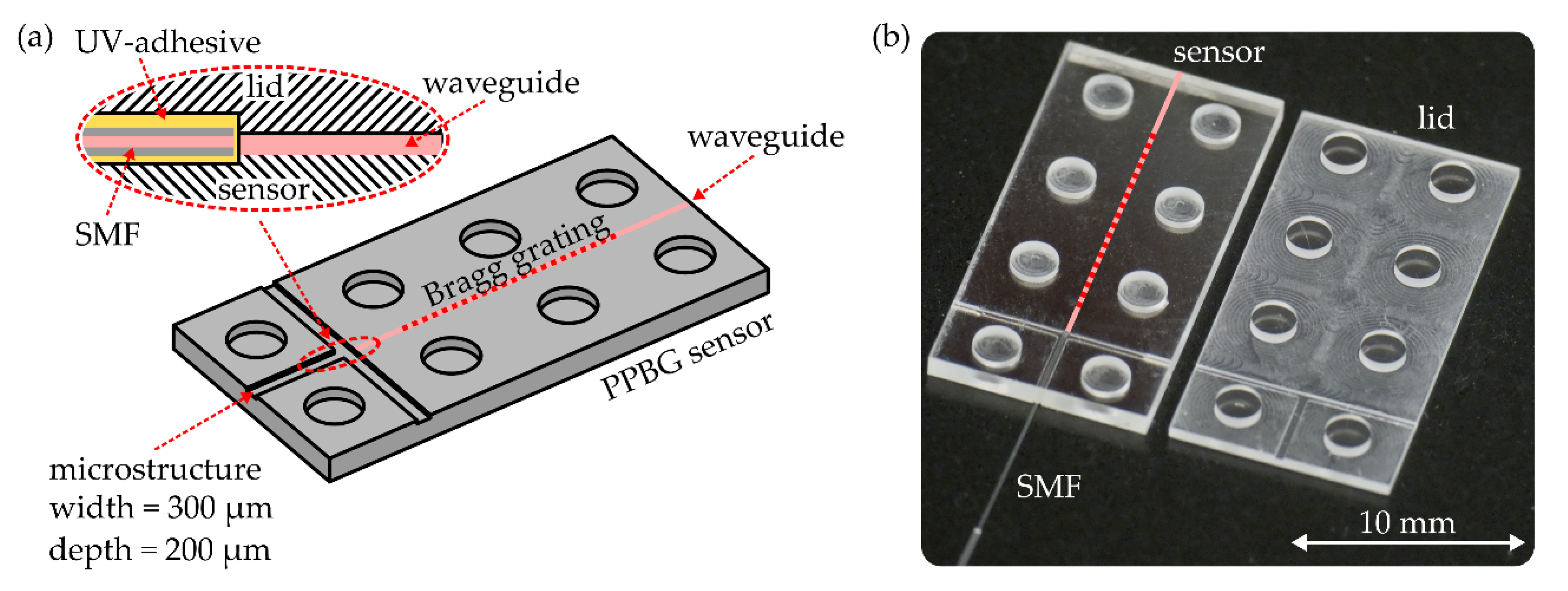 Sensors 20 05452 g002