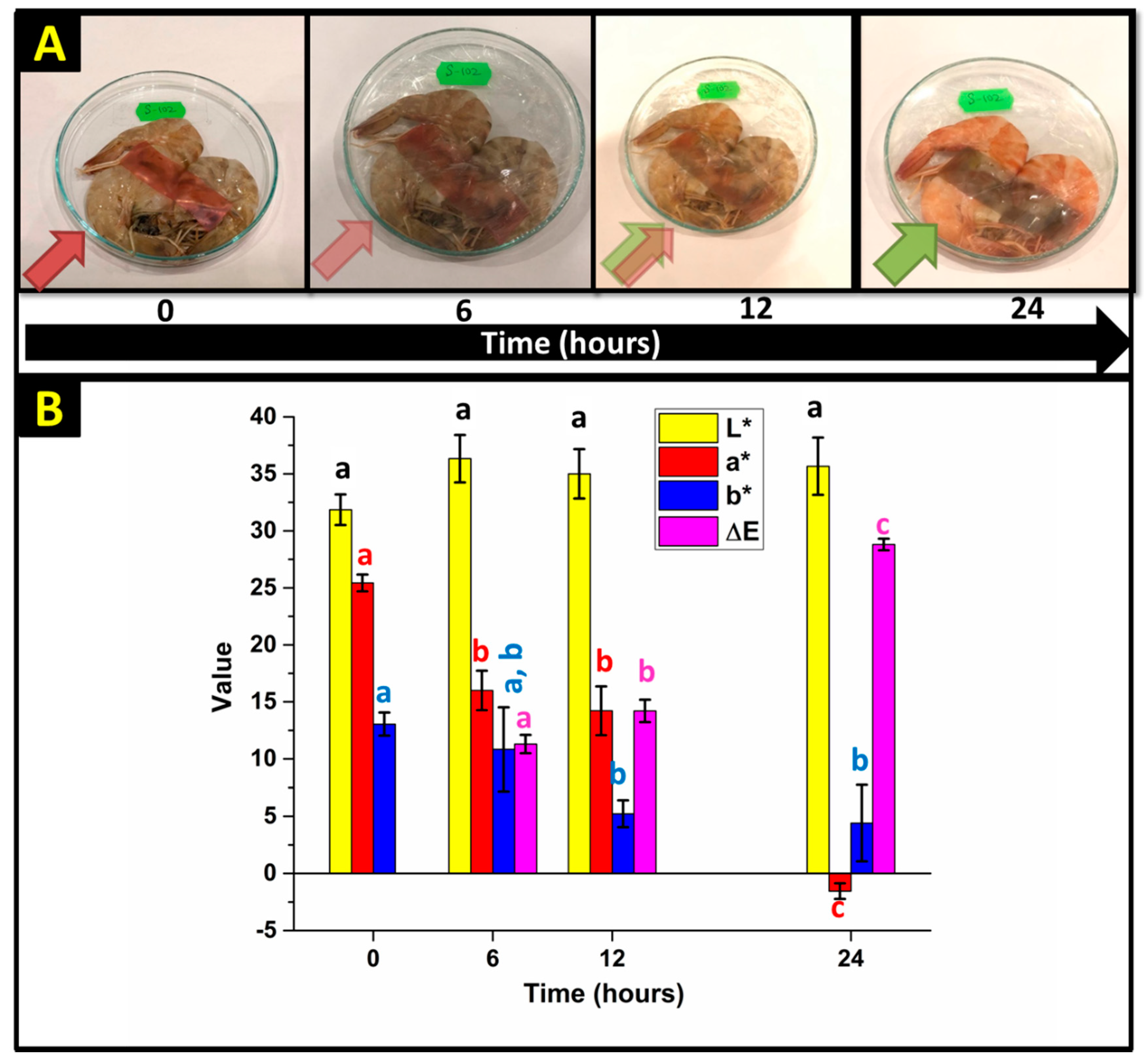 Sensors 20 05462 g014