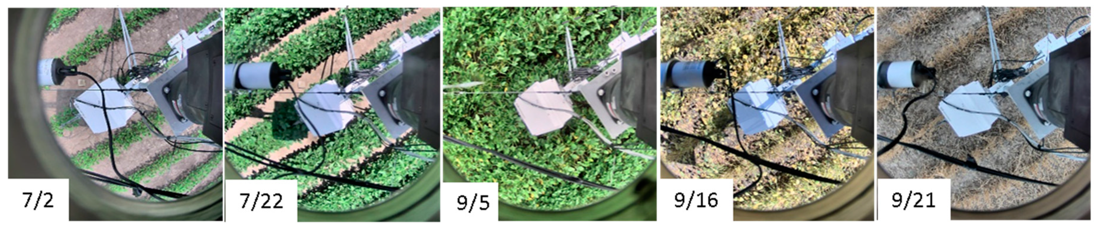 Sensors 20 05463 g004