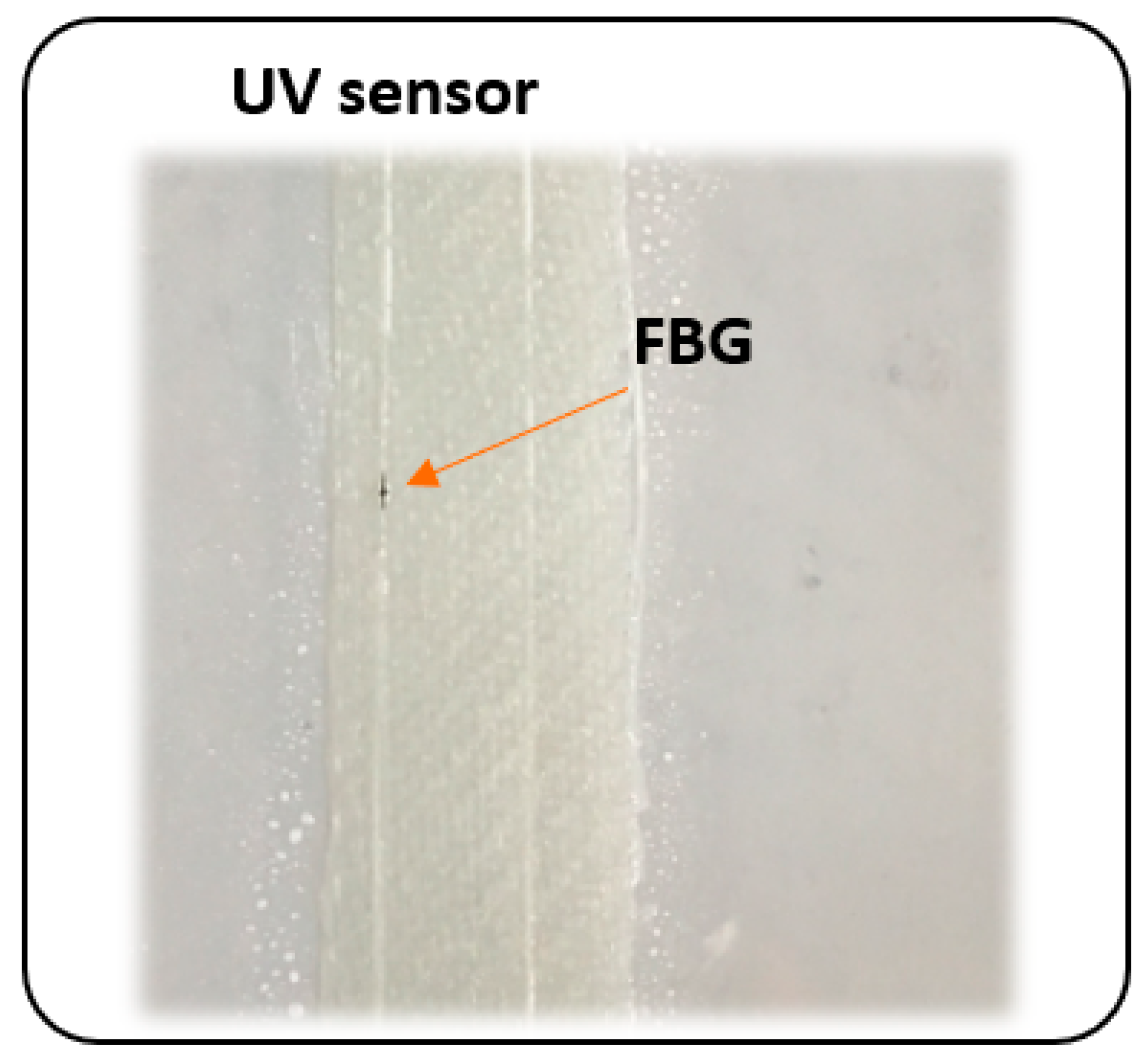 Sensors 20 05468 g004