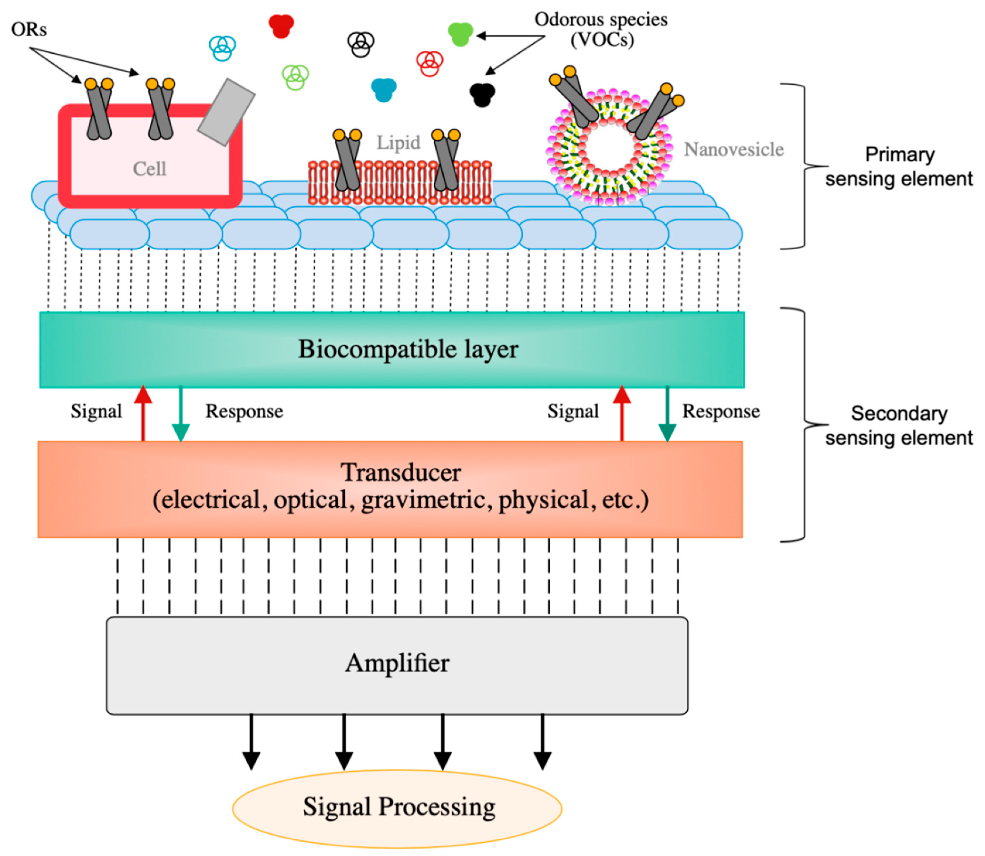 Sensors 20 05478 g008