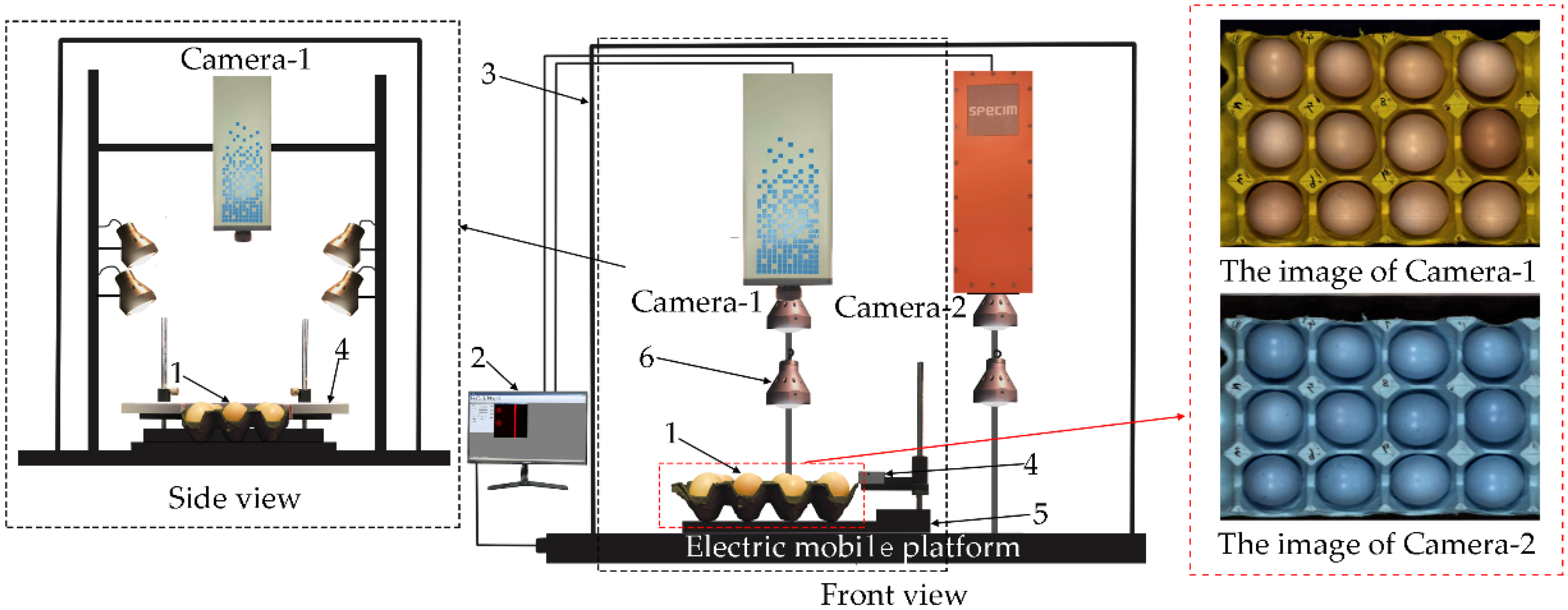 Sensors 20 05484 g001