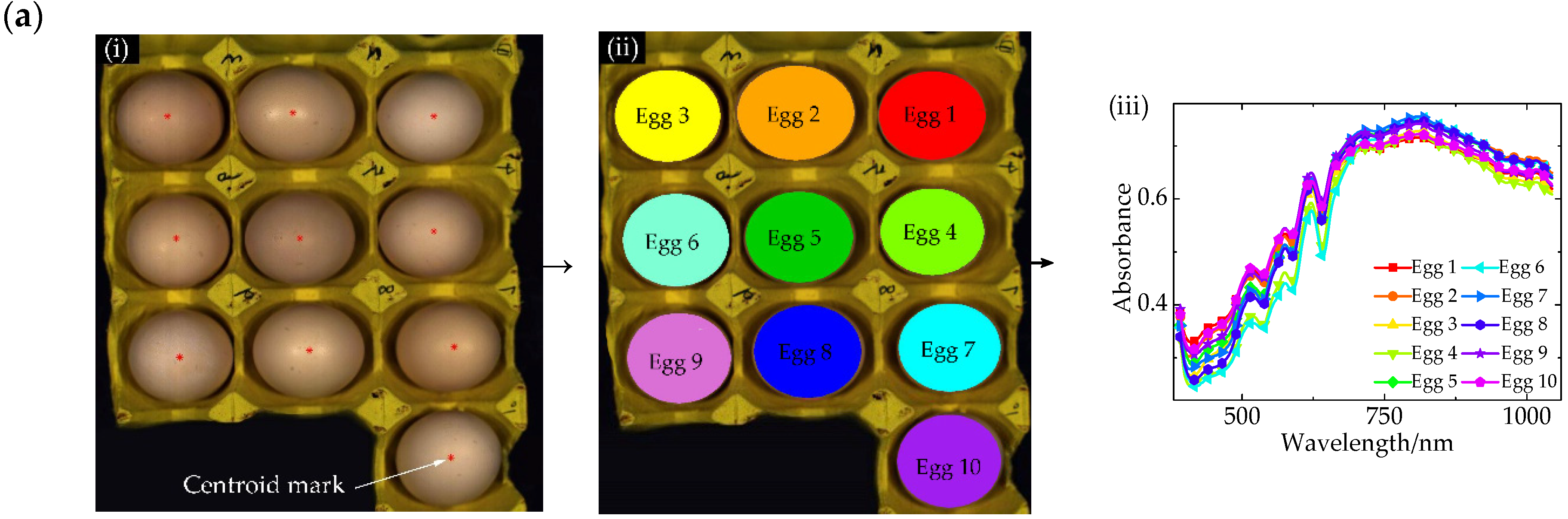 Sensors 20 05484 g003a