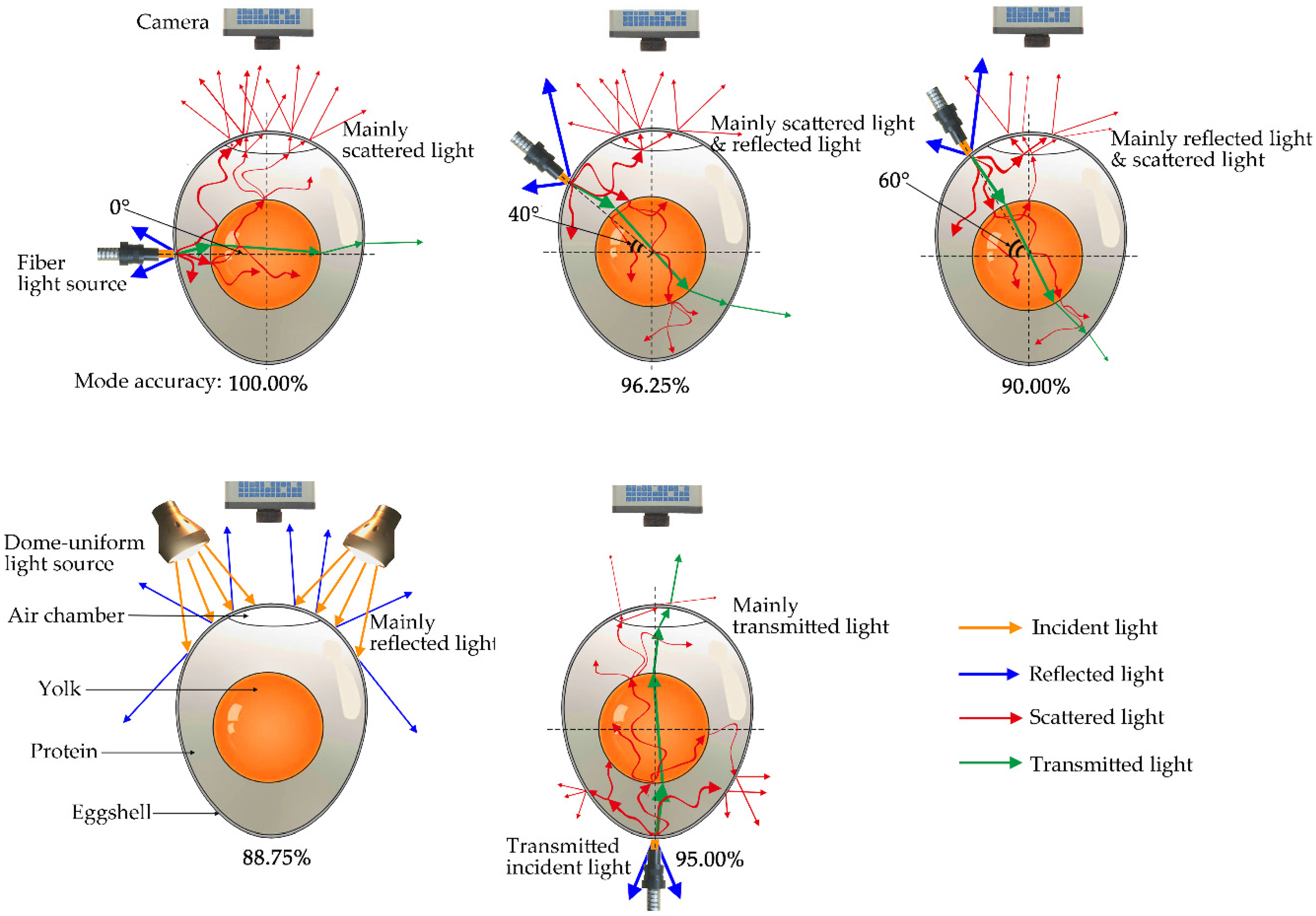 Sensors 20 05484 g013
