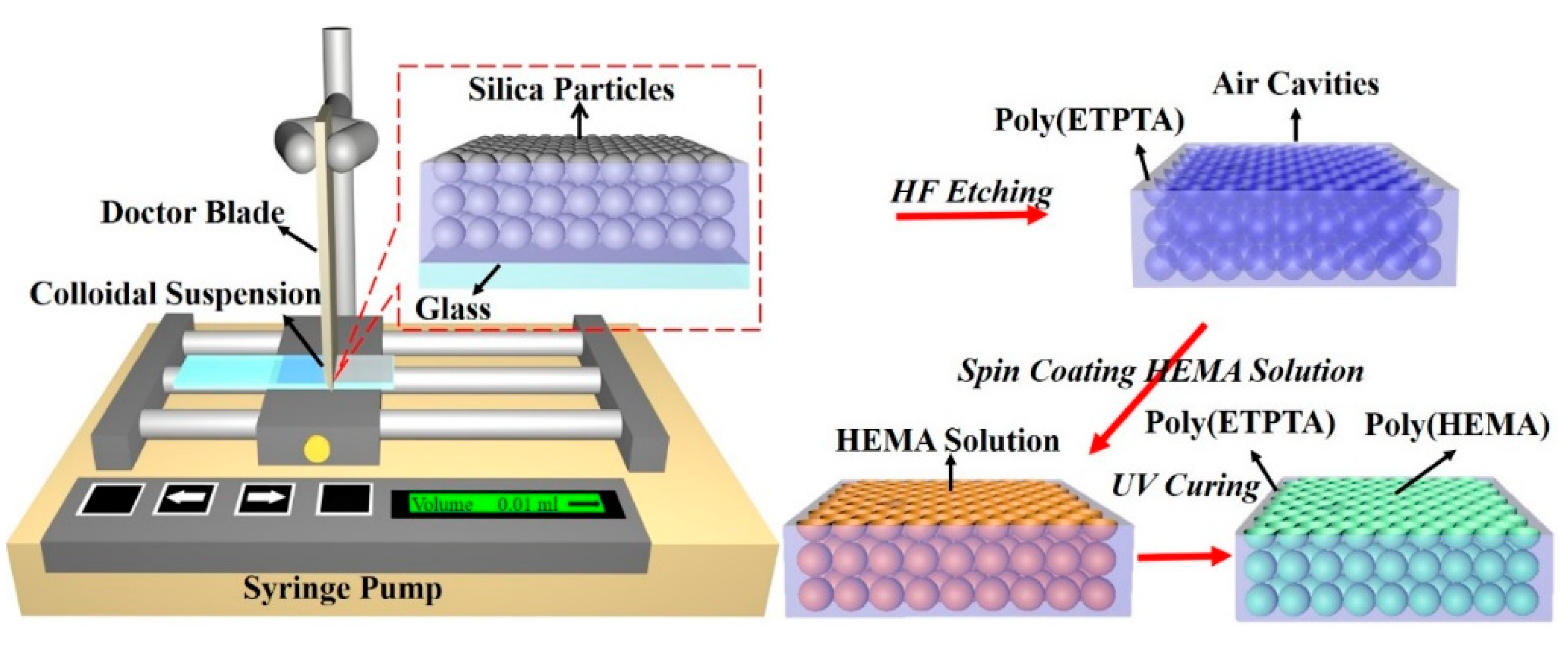 Sensors 20 05503 g001