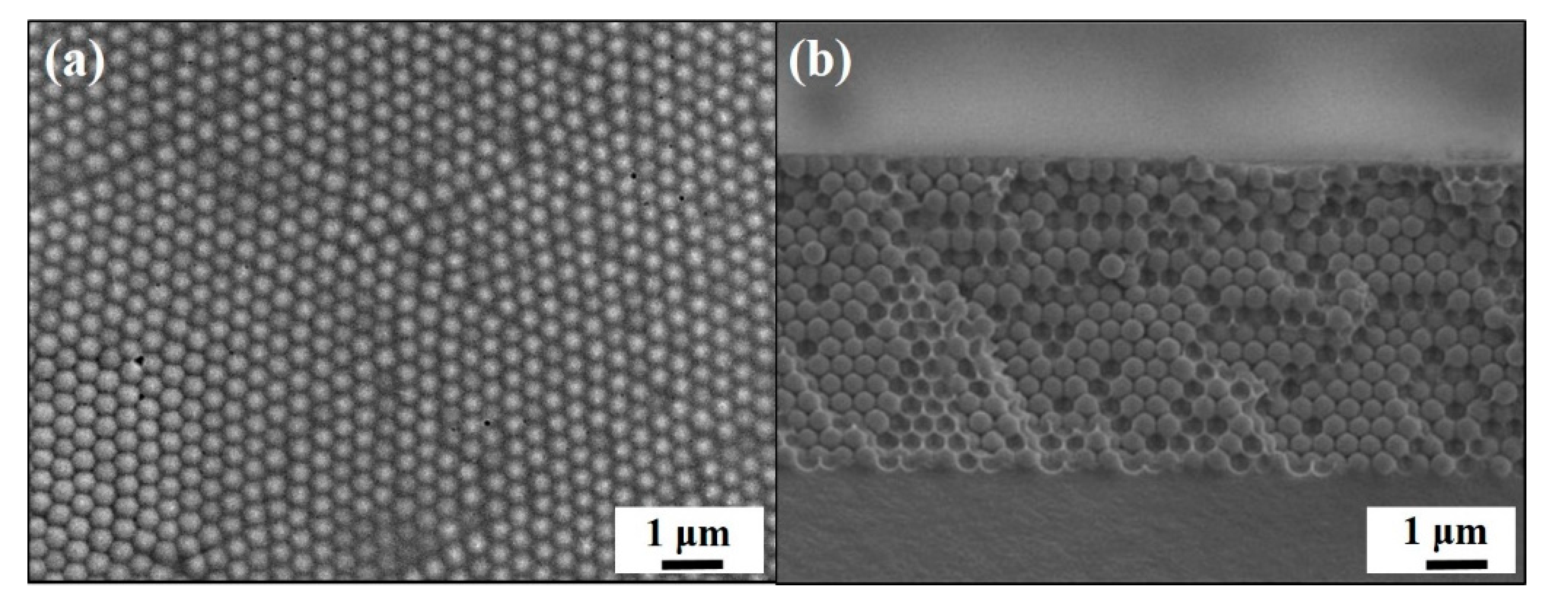 Sensors 20 05503 g002