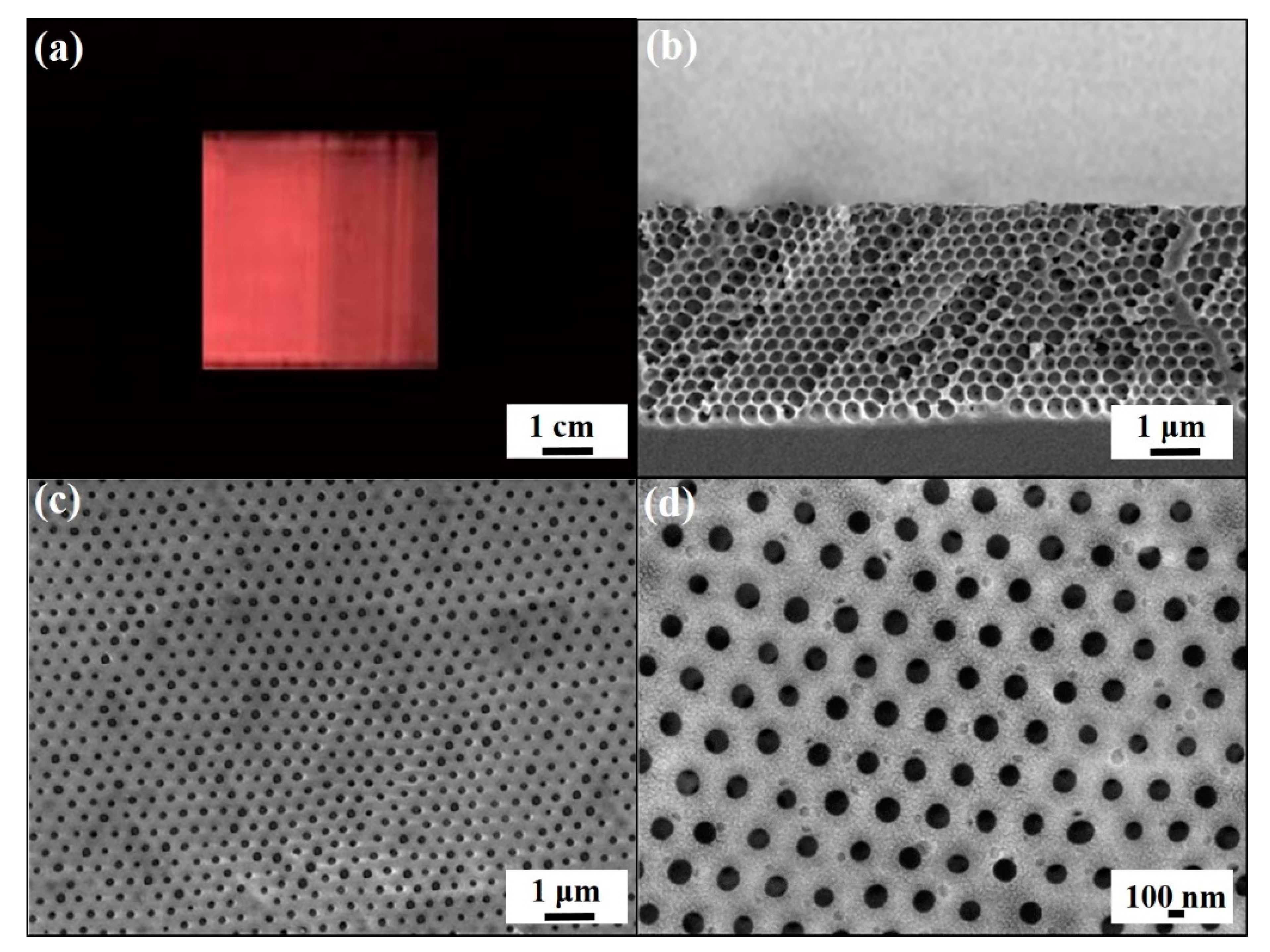 Sensors 20 05503 g003
