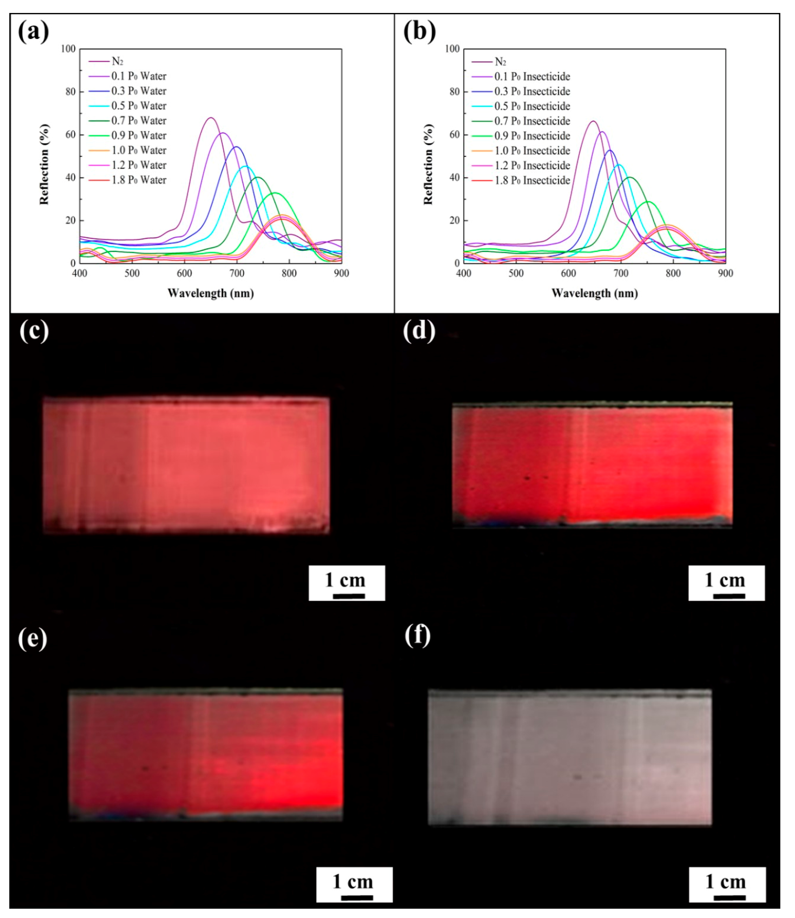 Sensors 20 05503 g004