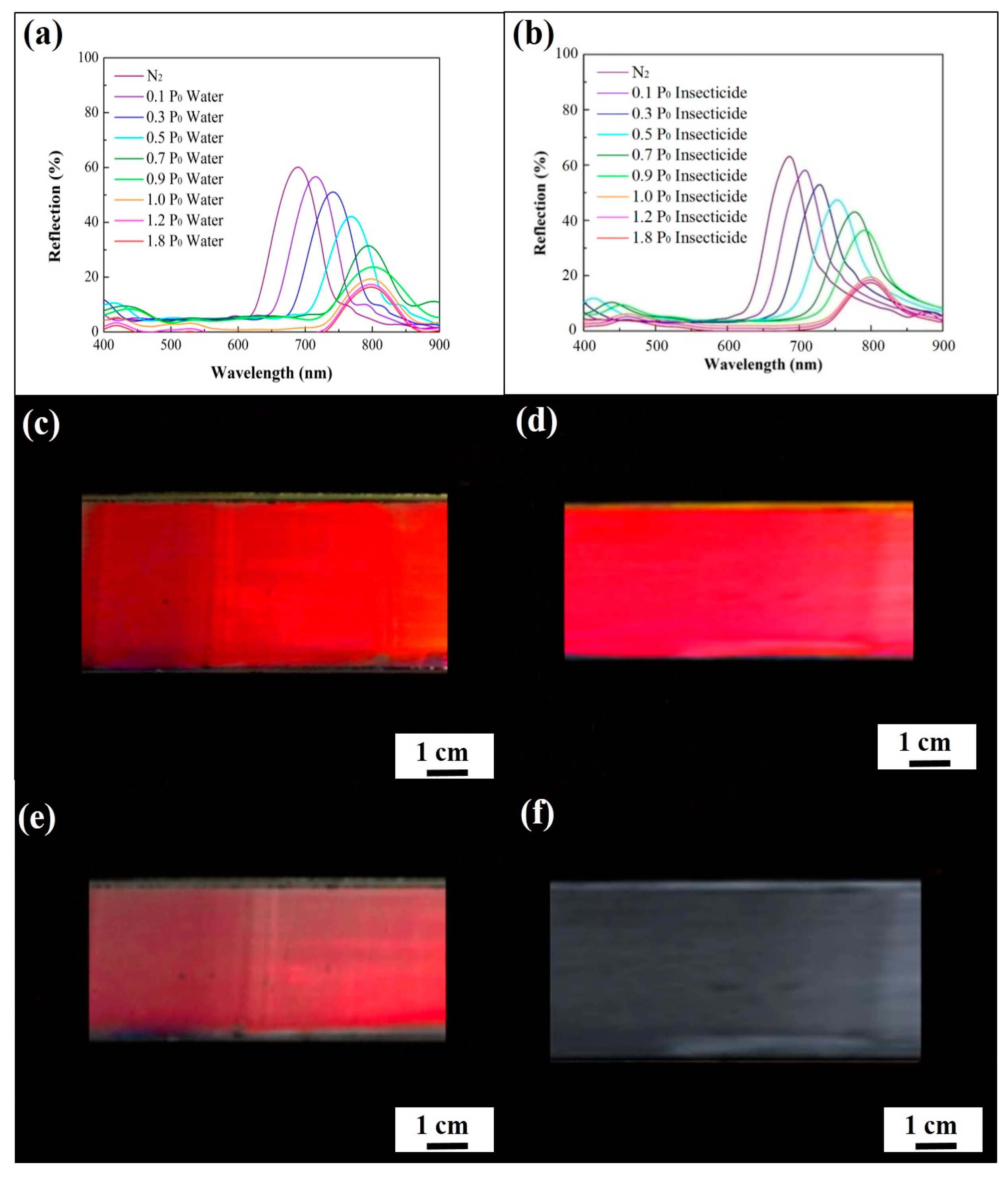 Sensors 20 05503 g005