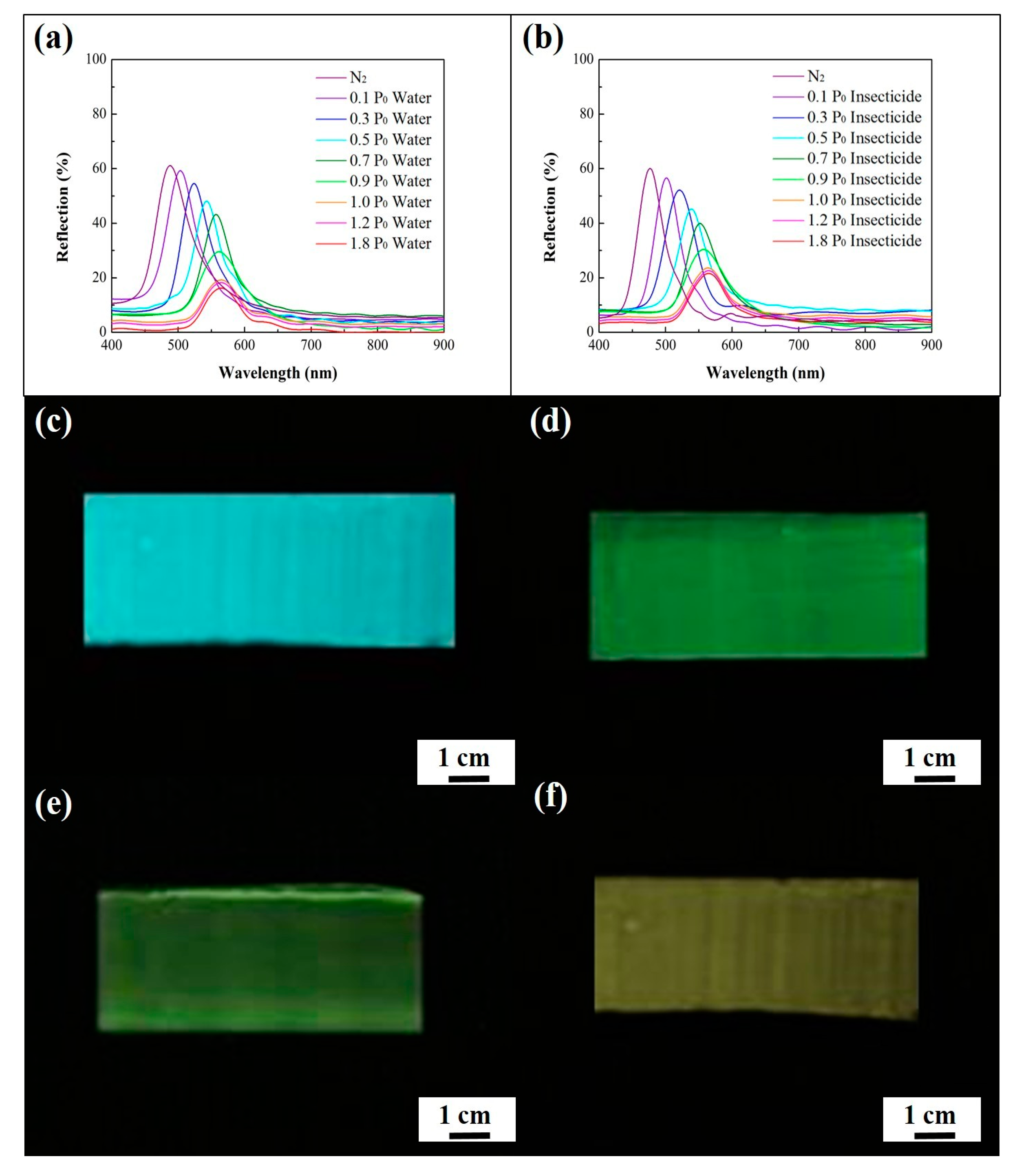 Sensors 20 05503 g008