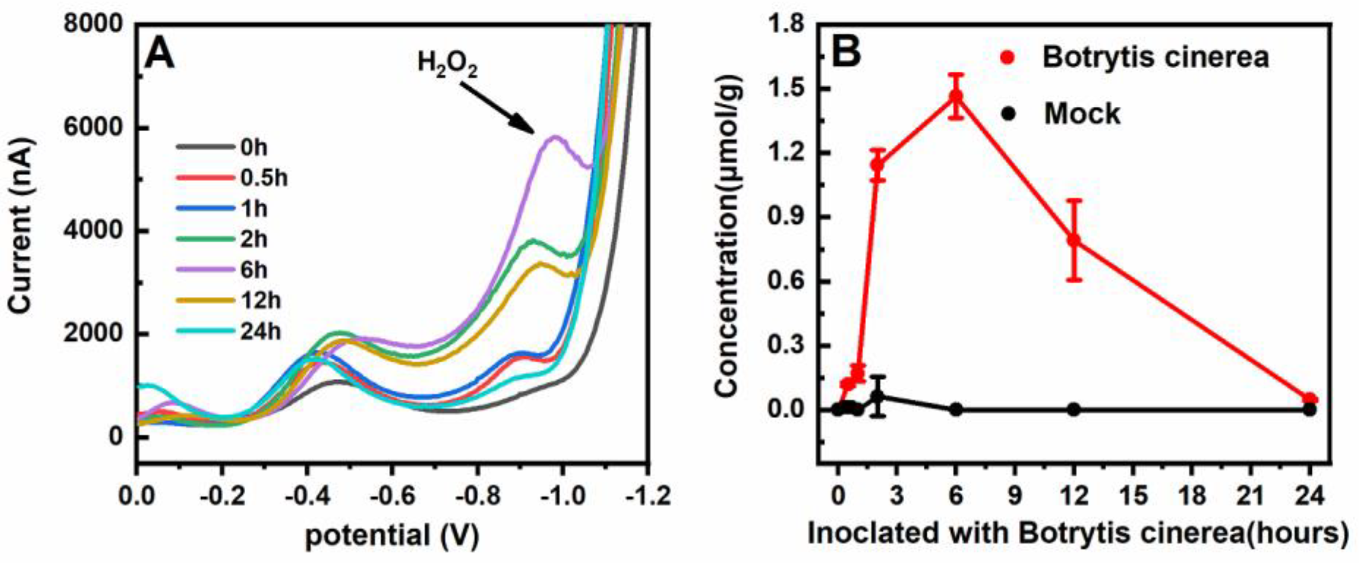 Sensors 20 05512 g005 Sensors 20 05512 g005