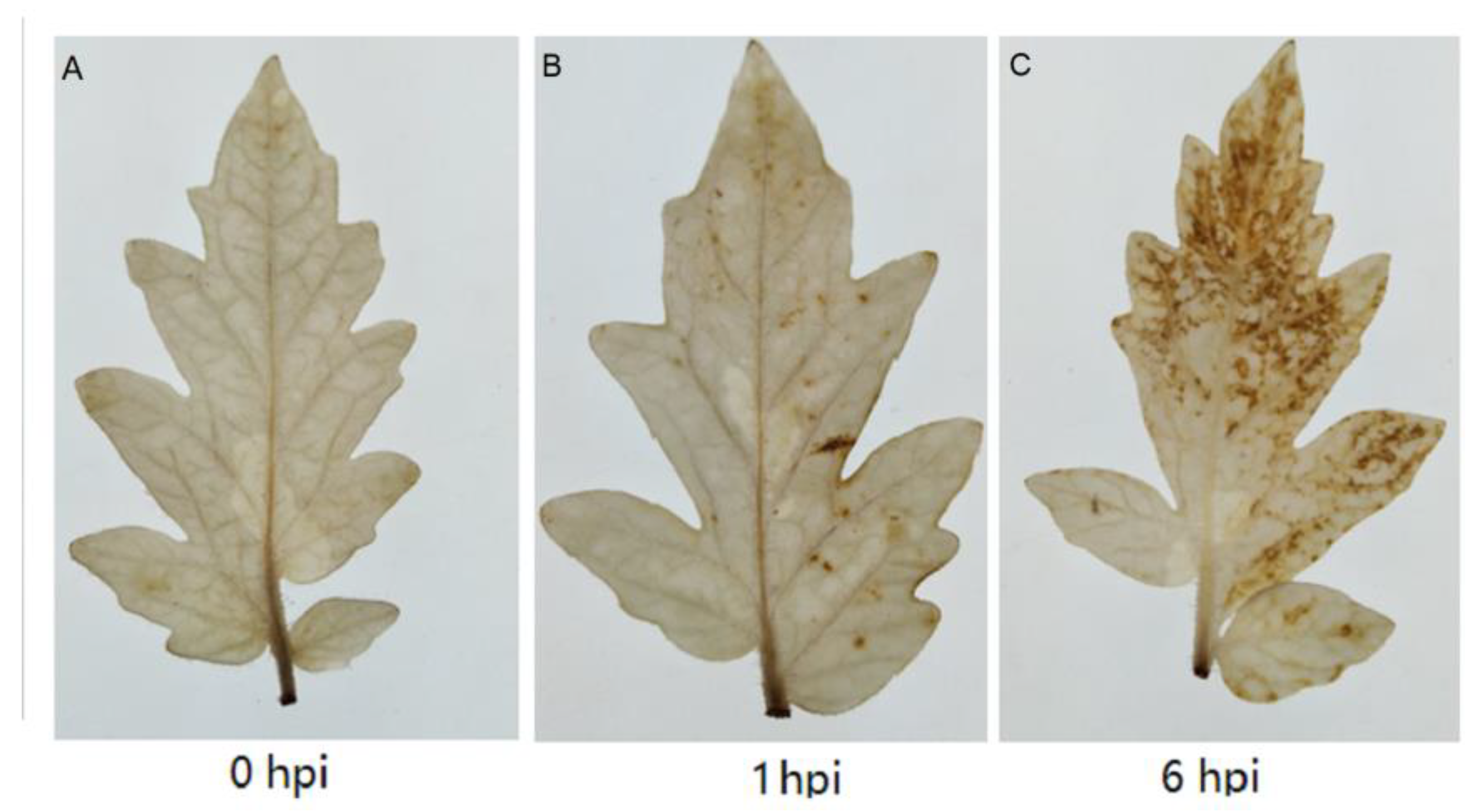 Sensors 20 05512 g006 Sensors 20 05512 g006