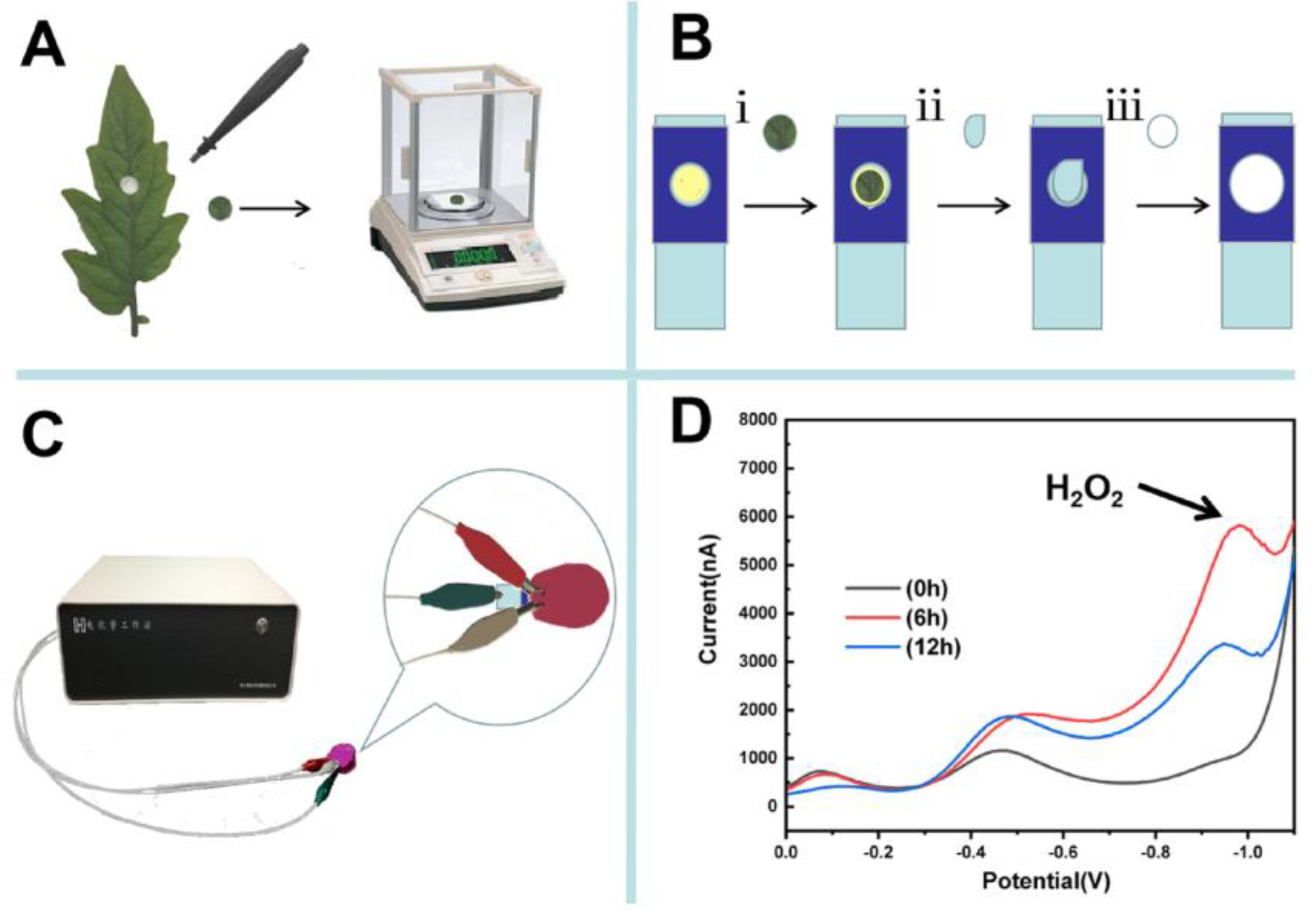 Sensors 20 05512 sch002 Sensors 20 05512 sch002