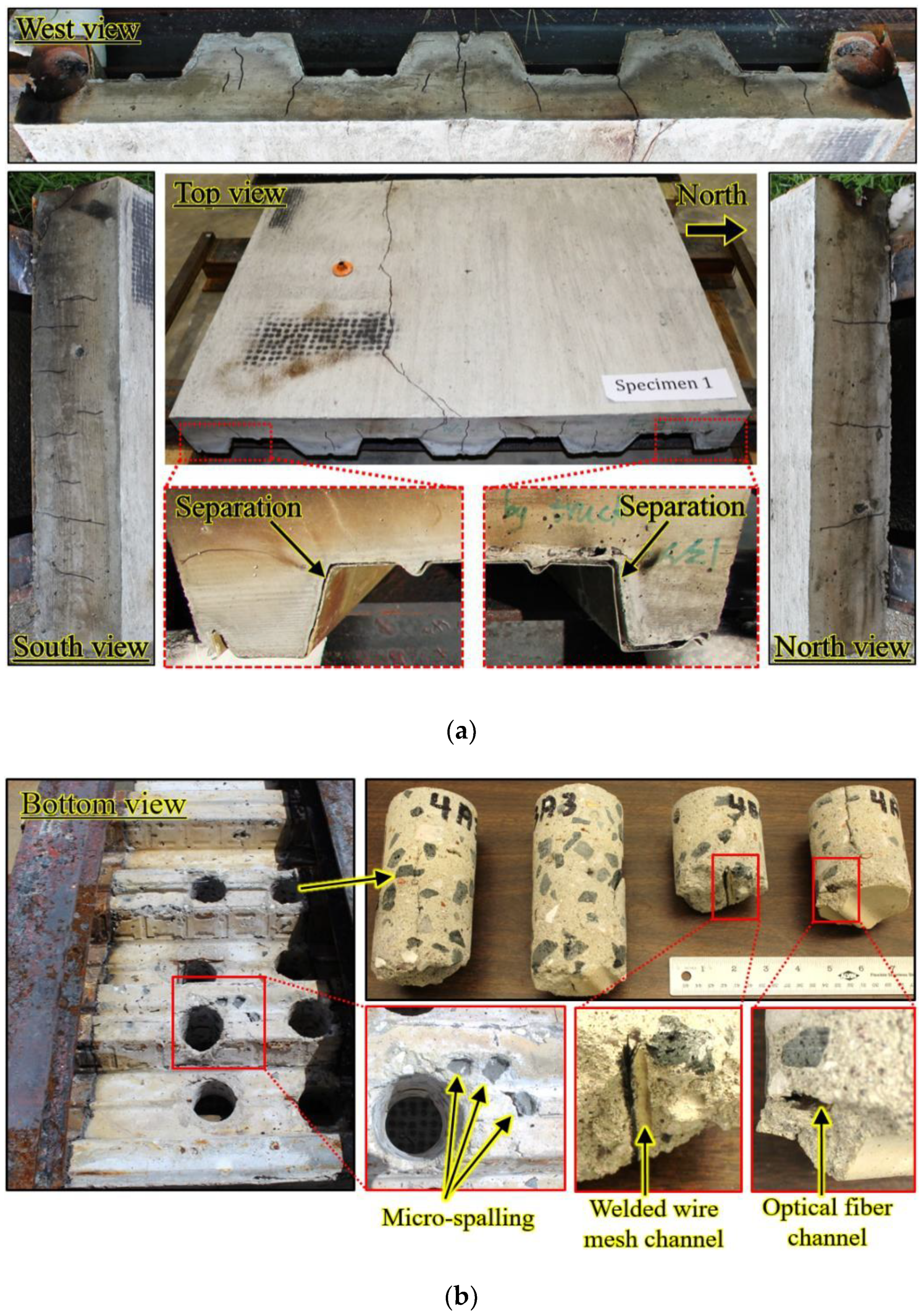 Sensors 20 05518 g006
