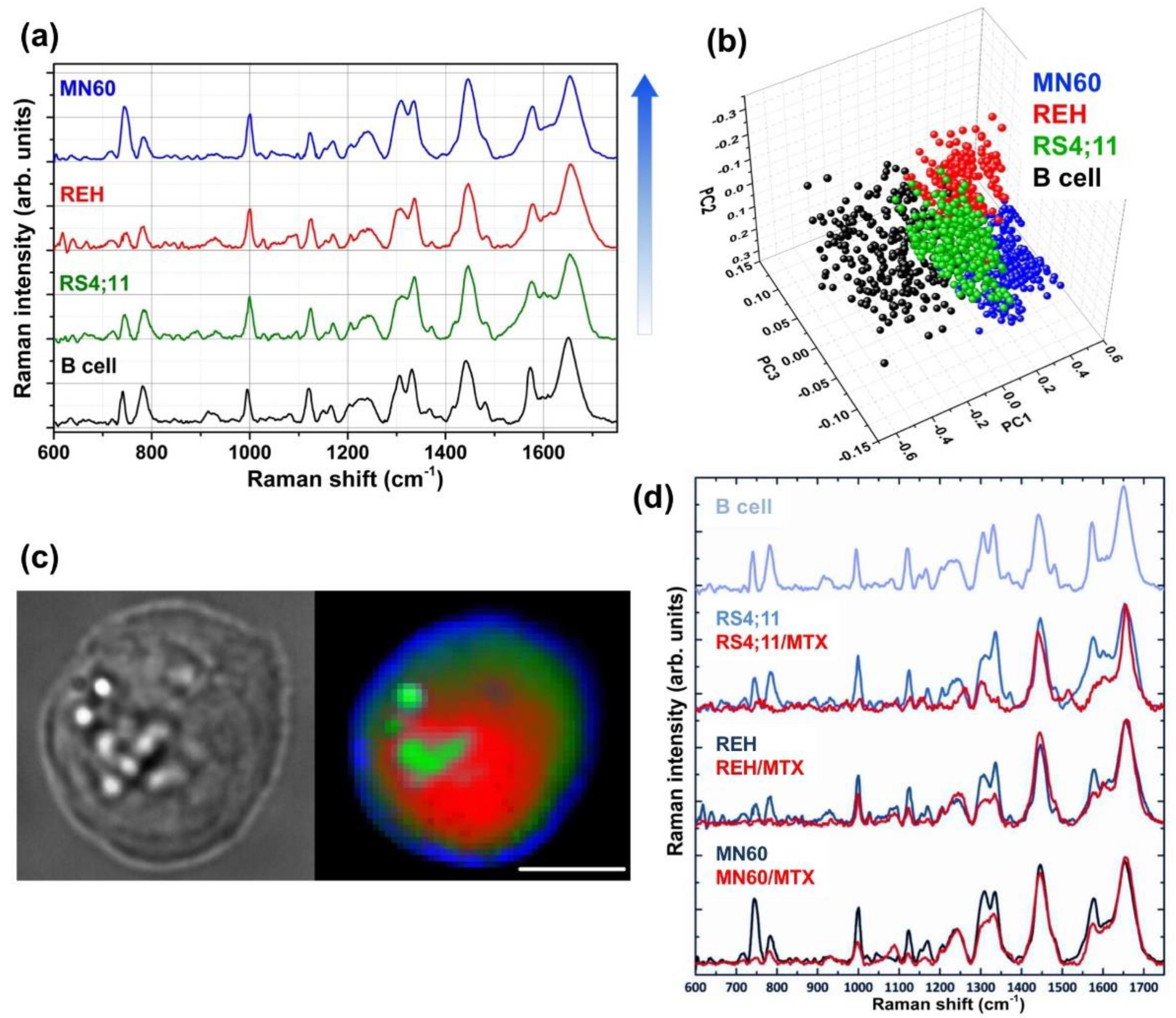 Sensors 20 05525 g002