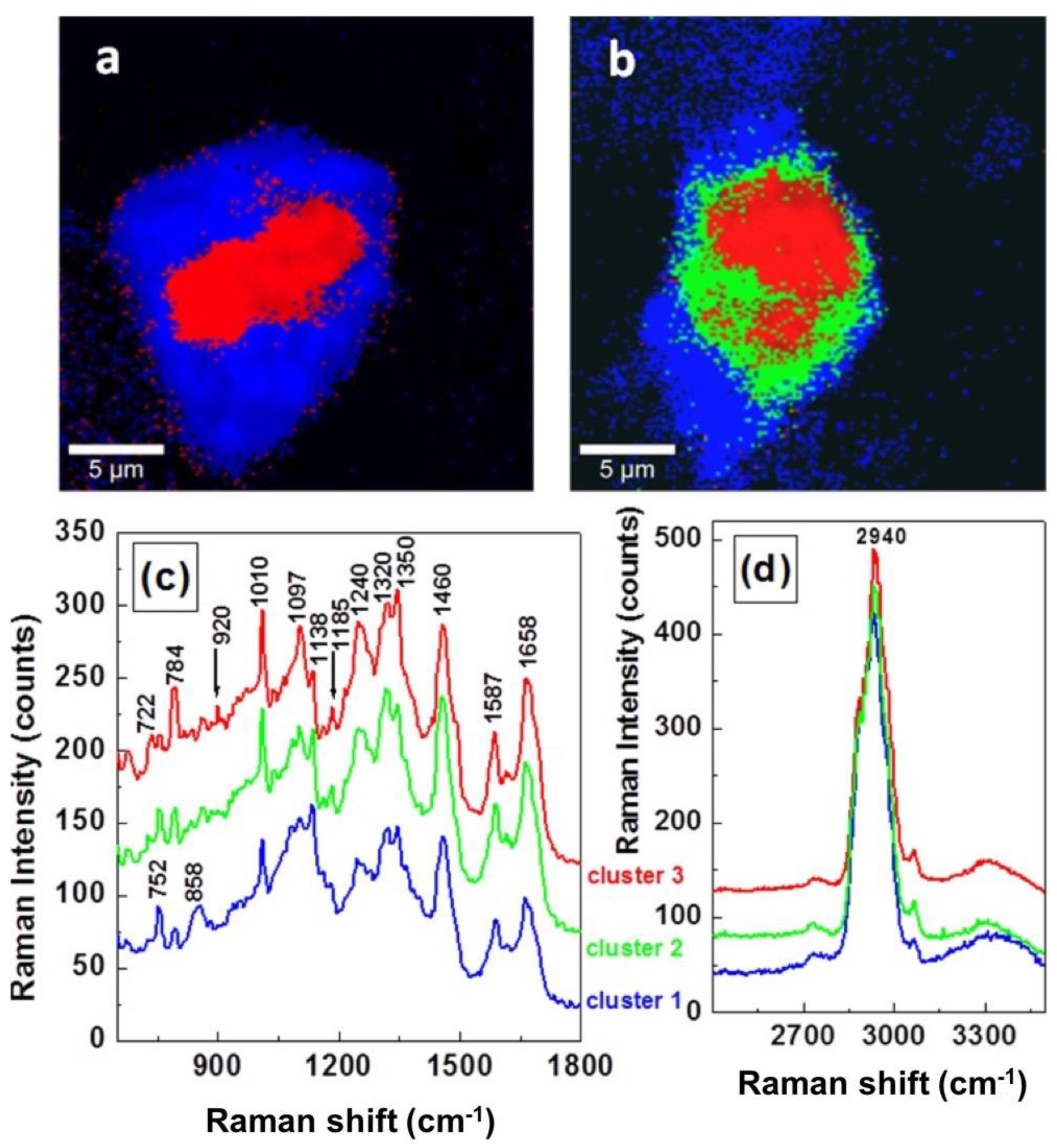Sensors 20 05525 g003