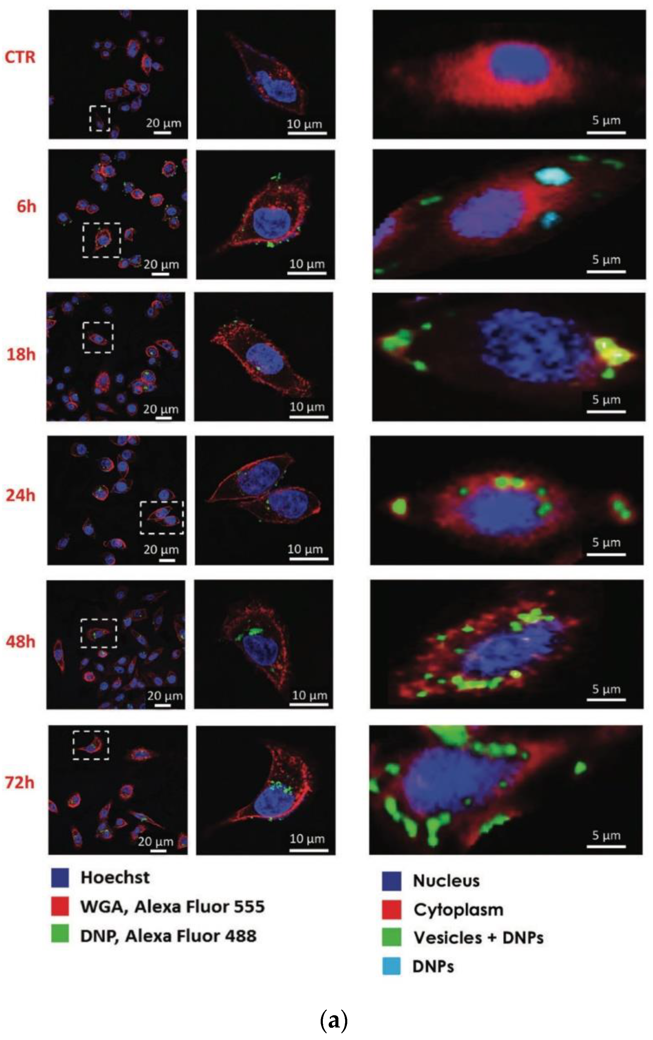Sensors 20 05525 g004a