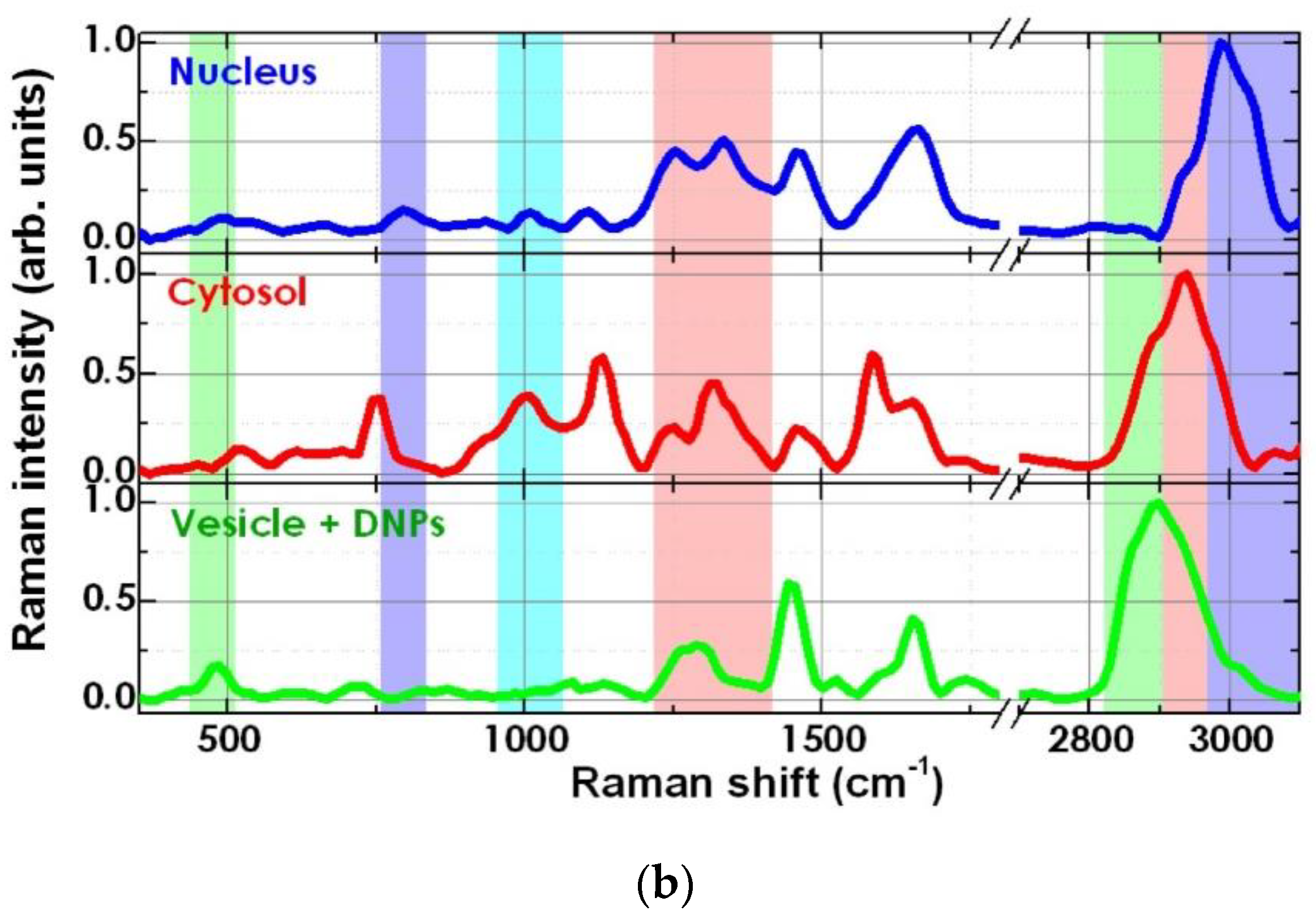 Sensors 20 05525 g004b