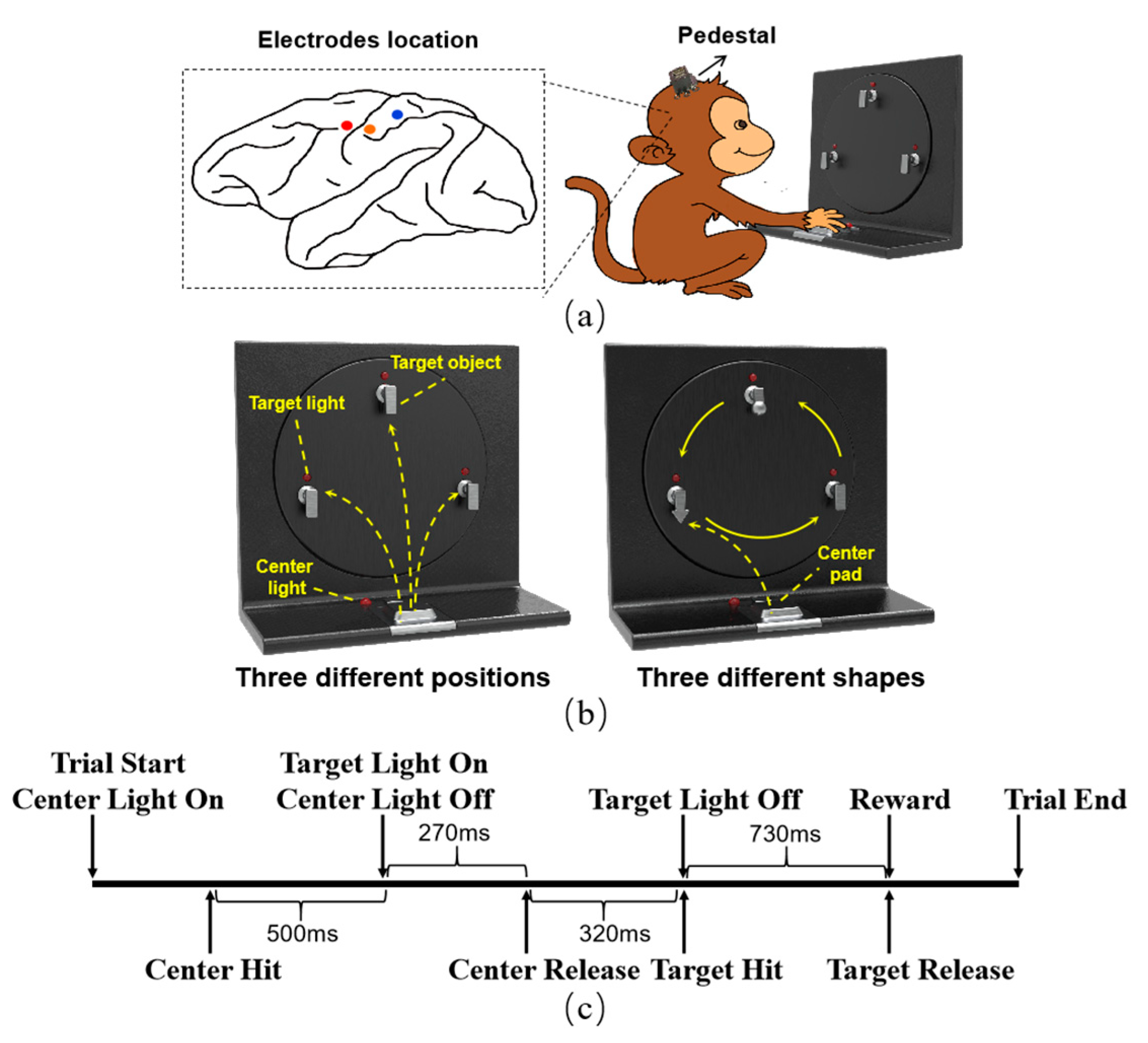 Sensors 20 05528 g001 Sensors 20 05528 g001