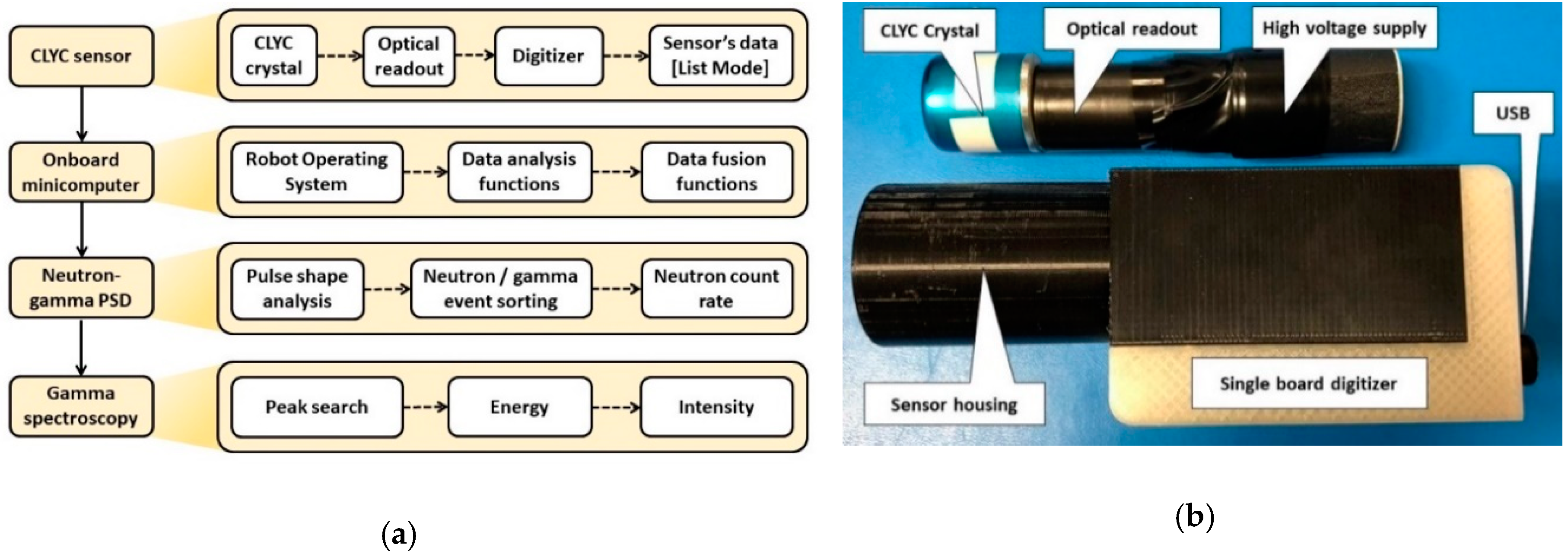Sensors 20 05529 g004