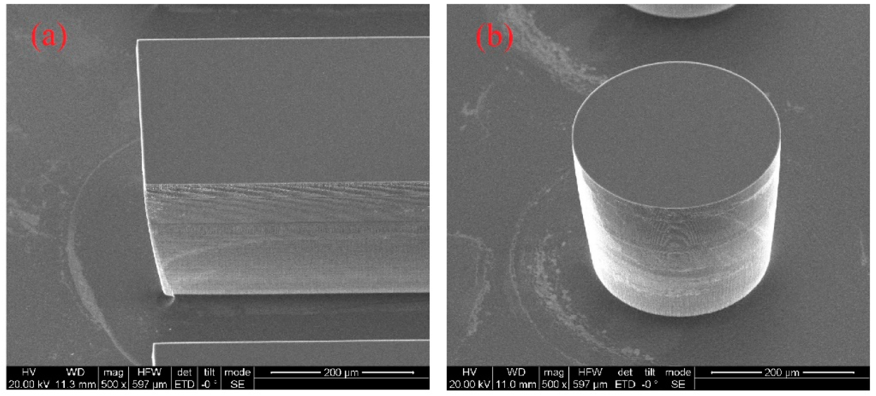 Sensors 20 05533 g004