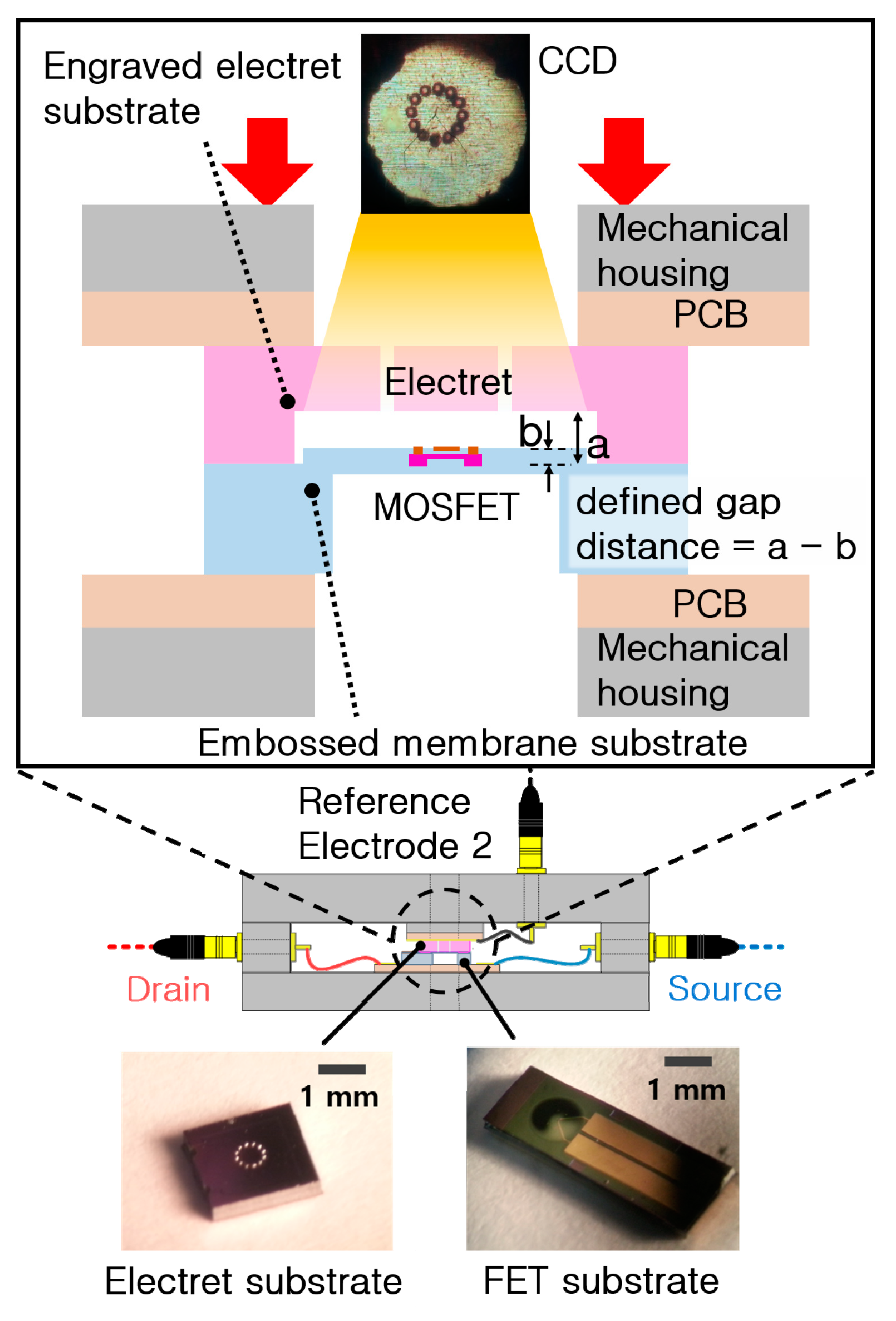Sensors 20 05554 g009