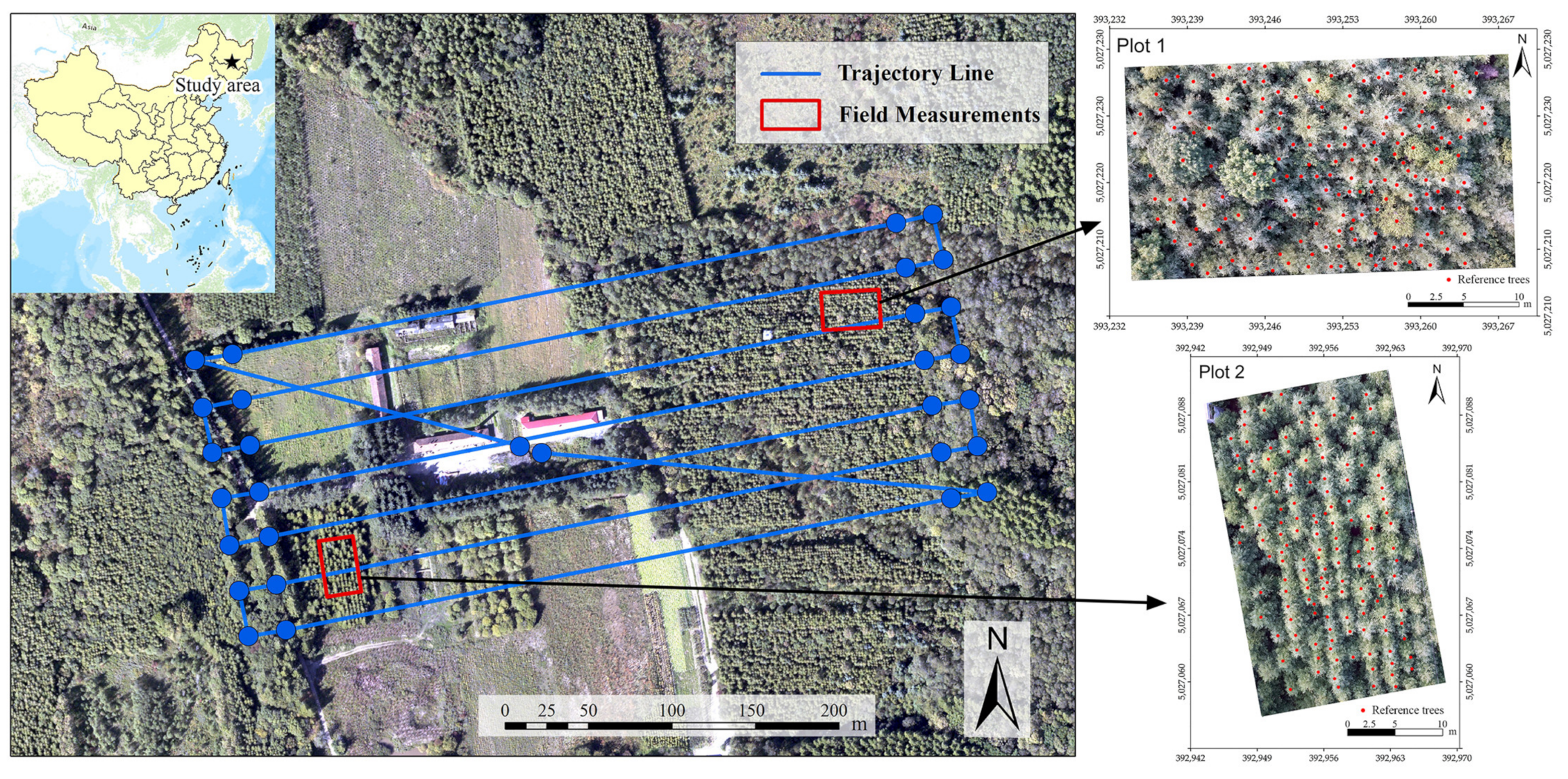 Sensors 20 05555 g001